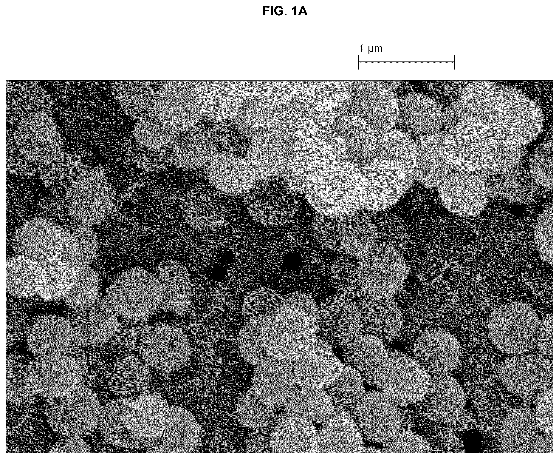 Patent US12616716 — Wound healing dressings and formulations and methods of use thereof — Figure 1