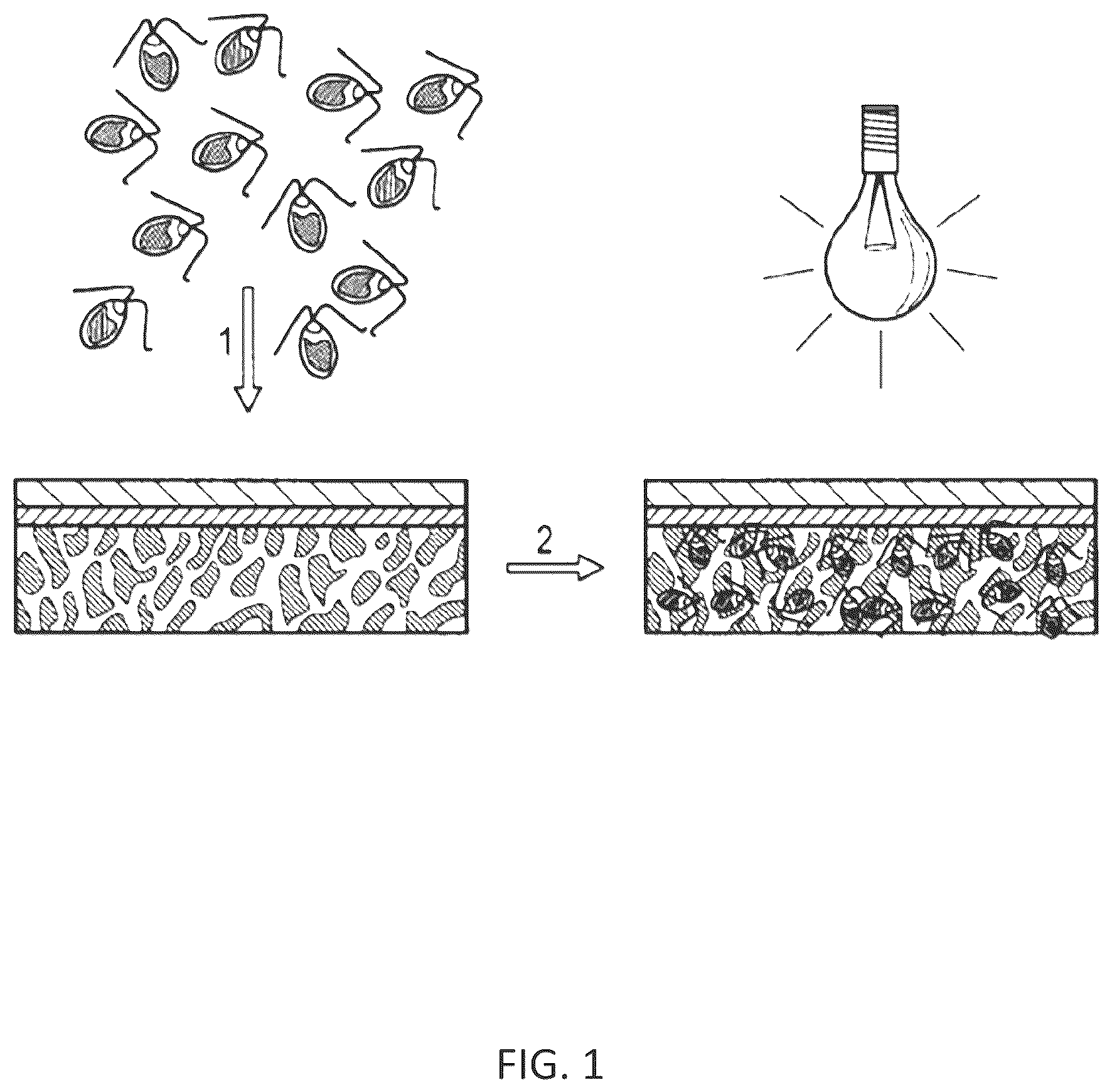 Patent US12616718 Figure 1 – Photosynthetic cellular substances and methods of use thereof