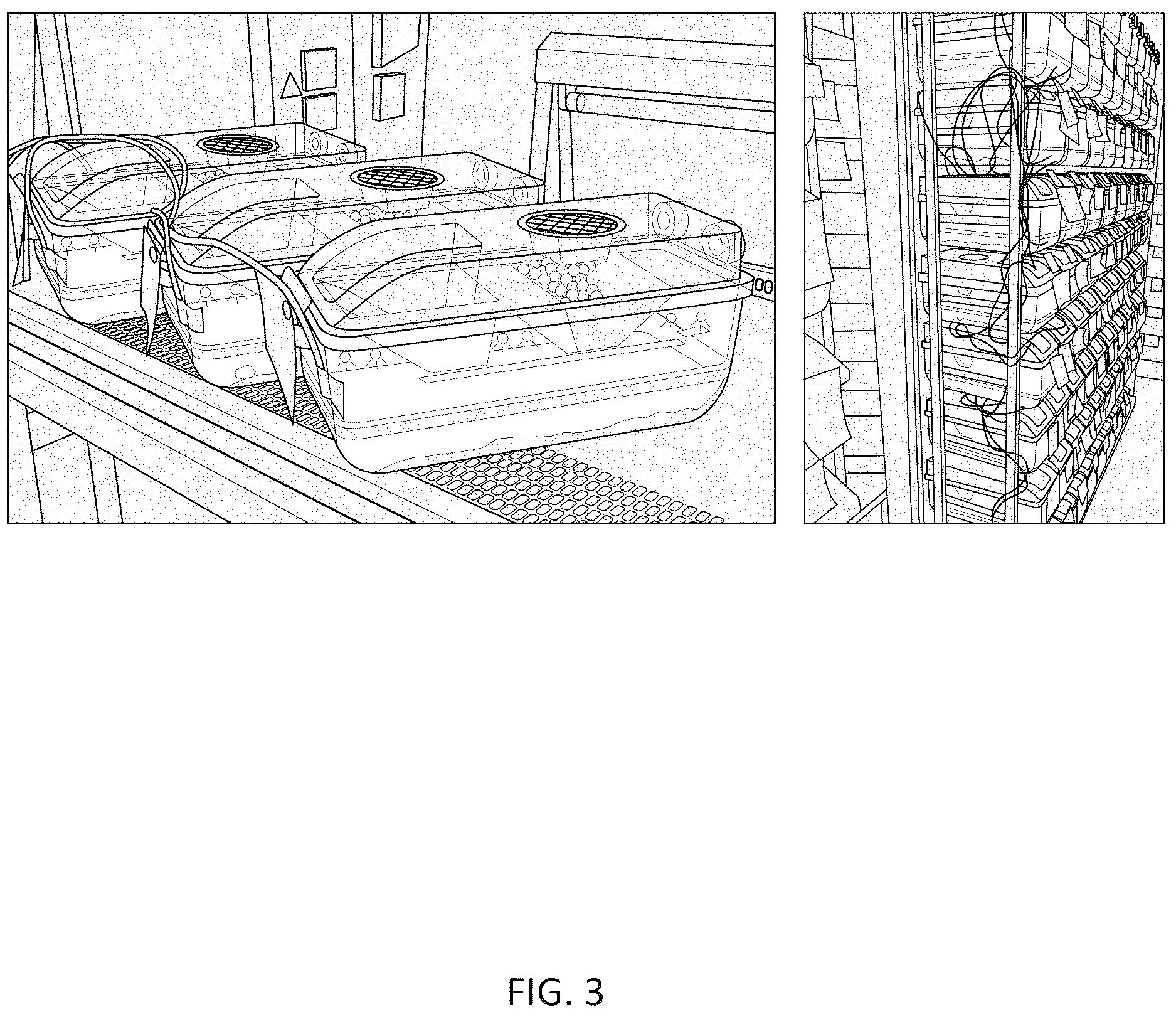 Patent US12616718 Figure 3 – Photosynthetic cellular substances and methods of use thereof