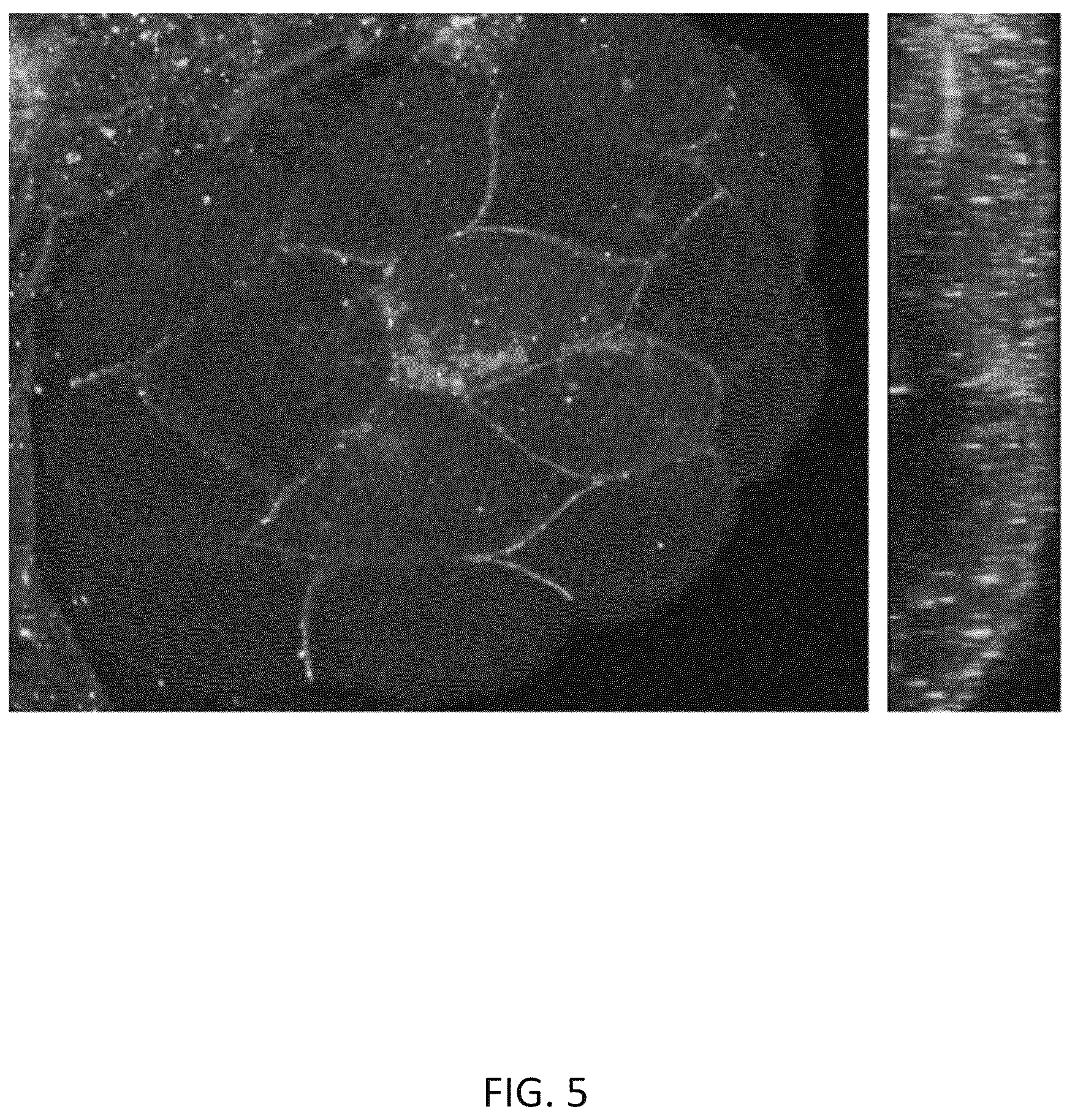 Patent US12616718 Figure 5 – Photosynthetic cellular substances and methods of use thereof
