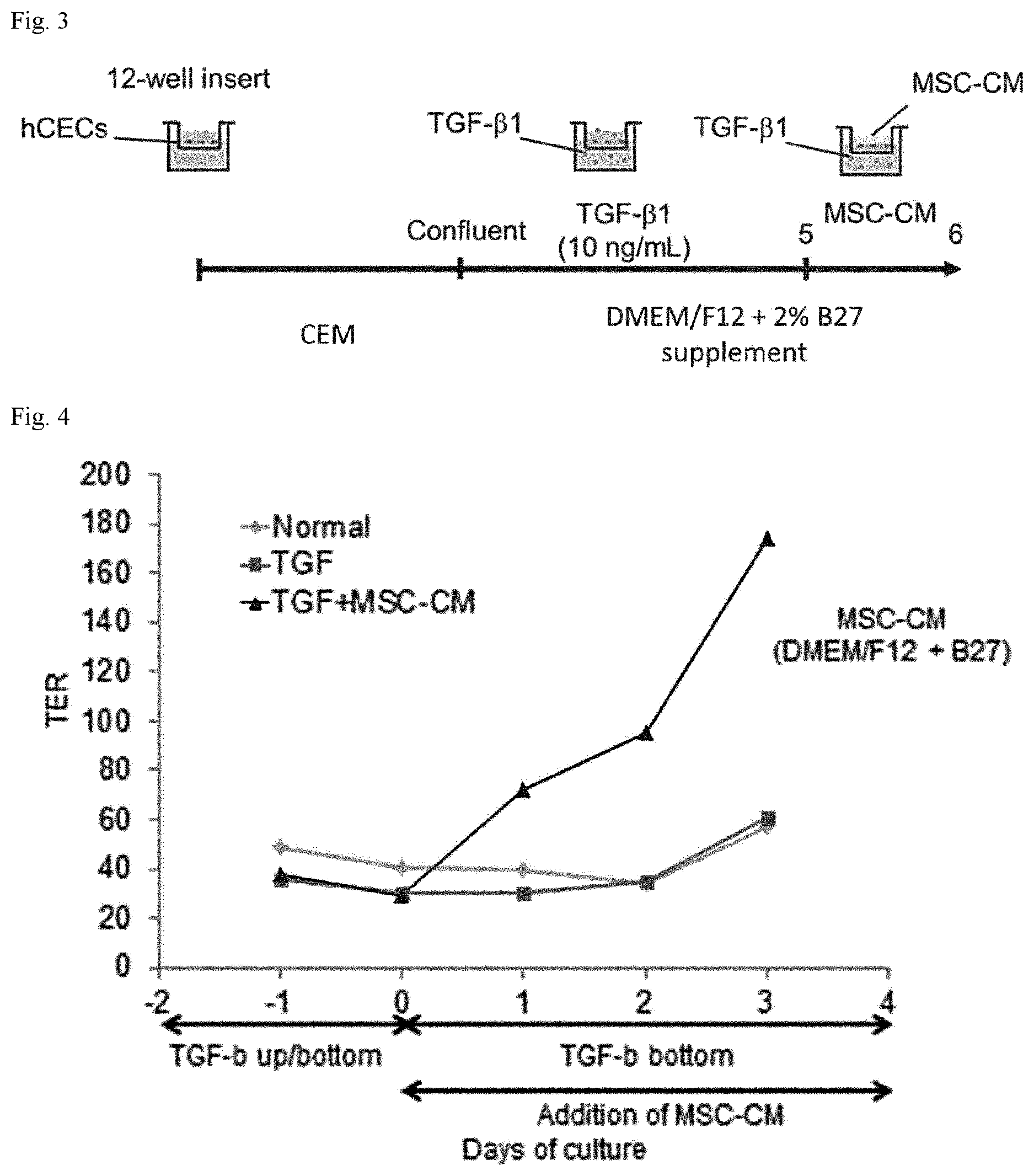 Patent US12616721 Figure 2 – Stratified squamous epithelial cell normal differentiation and maturation promoting agent, epithelial disease therapeutic agent, and stratified squamous epithelial cell normal differentiation and maturation promoting method
