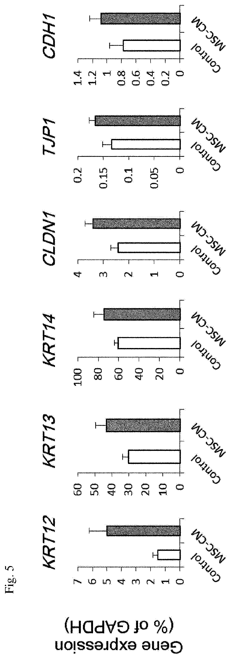 Patent US12616721 Figure 3 – Stratified squamous epithelial cell normal differentiation and maturation promoting agent, epithelial disease therapeutic agent, and stratified squamous epithelial cell normal differentiation and maturation promoting method