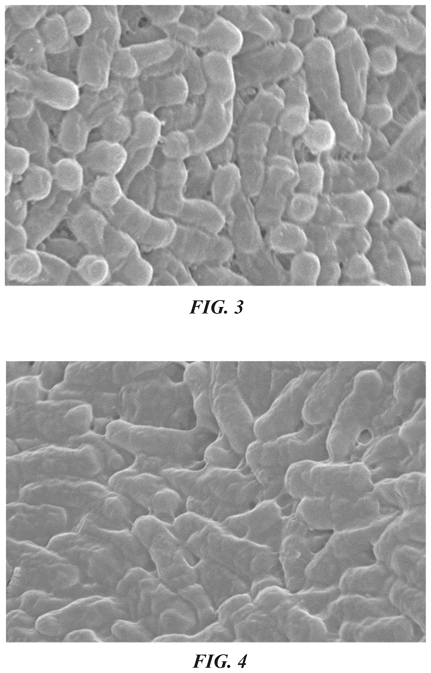Patent US12616725 Figure 3 – Bifidobacterium breve IDCC 4401 strain and its dead cell ID-BBR4401 having excellent acid tolerance and bile tolerance and prophylactic or therapeutic effect on dyslipidemia