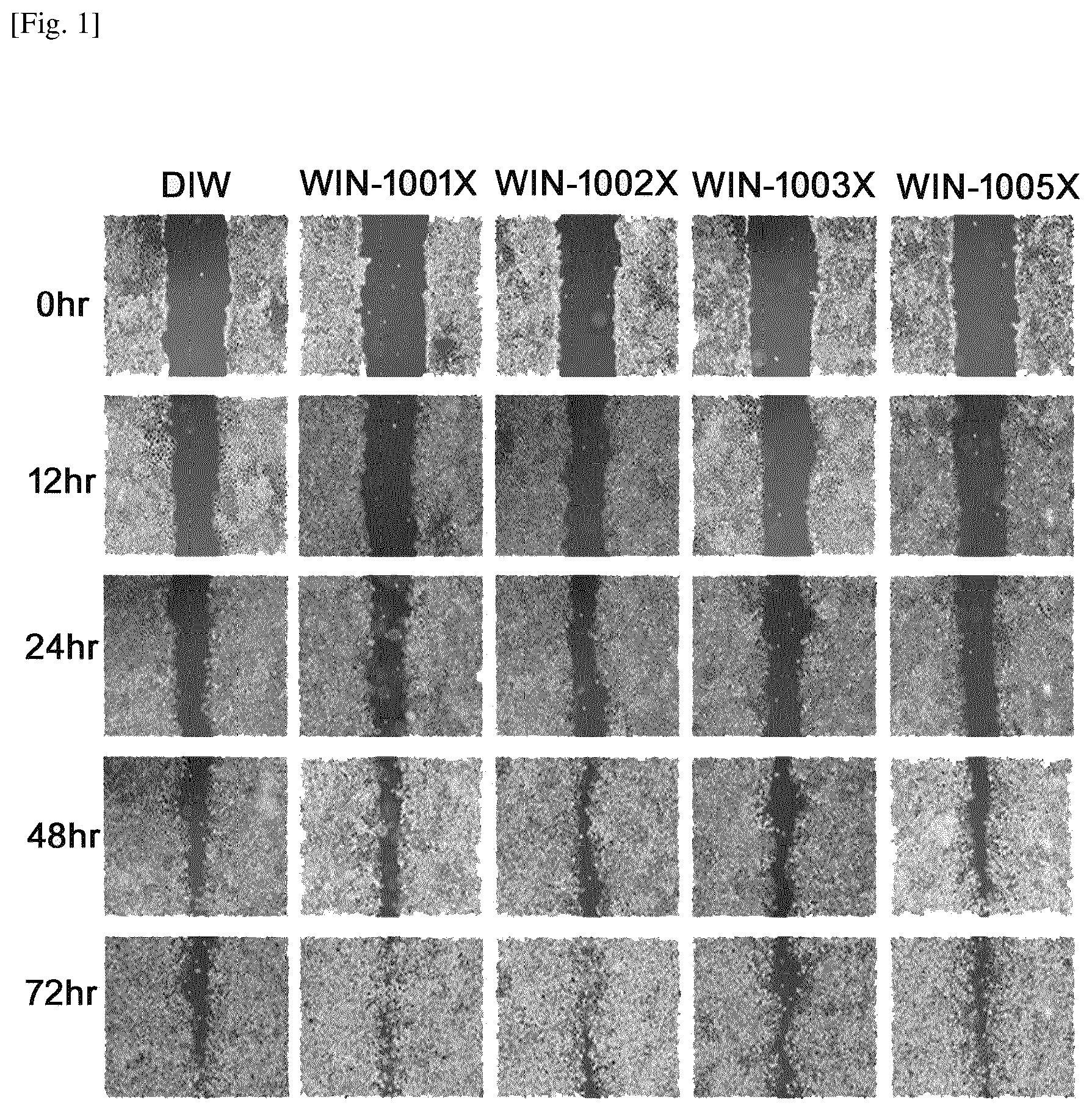 Patent US12616730 Figure 1 – Topical composition comprising an extract of combined herbs comprising longanae arillus for the treatment or alleviation of skin ulcer and the use thereof