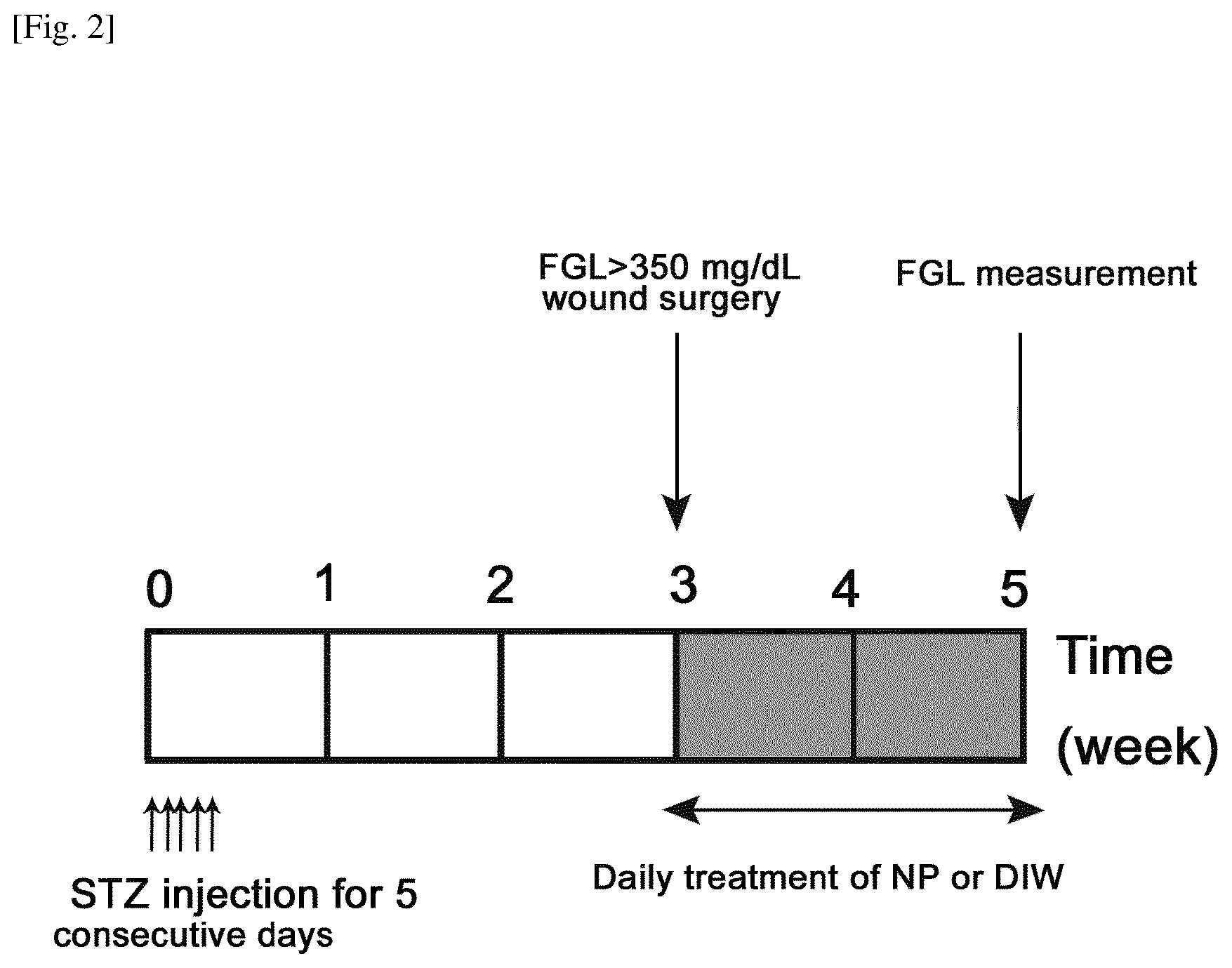 Patent US12616730 Figure 2 – Topical composition comprising an extract of combined herbs comprising longanae arillus for the treatment or alleviation of skin ulcer and the use thereof