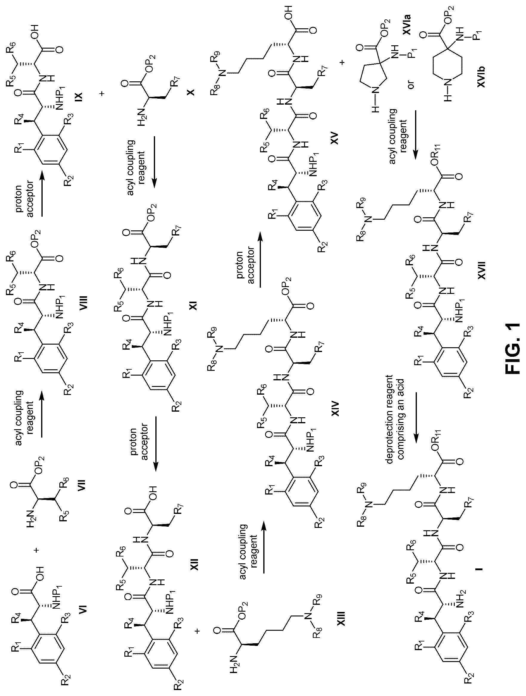 Patent US12616732 Figure 1 – Peptides for treatment of medical disorders