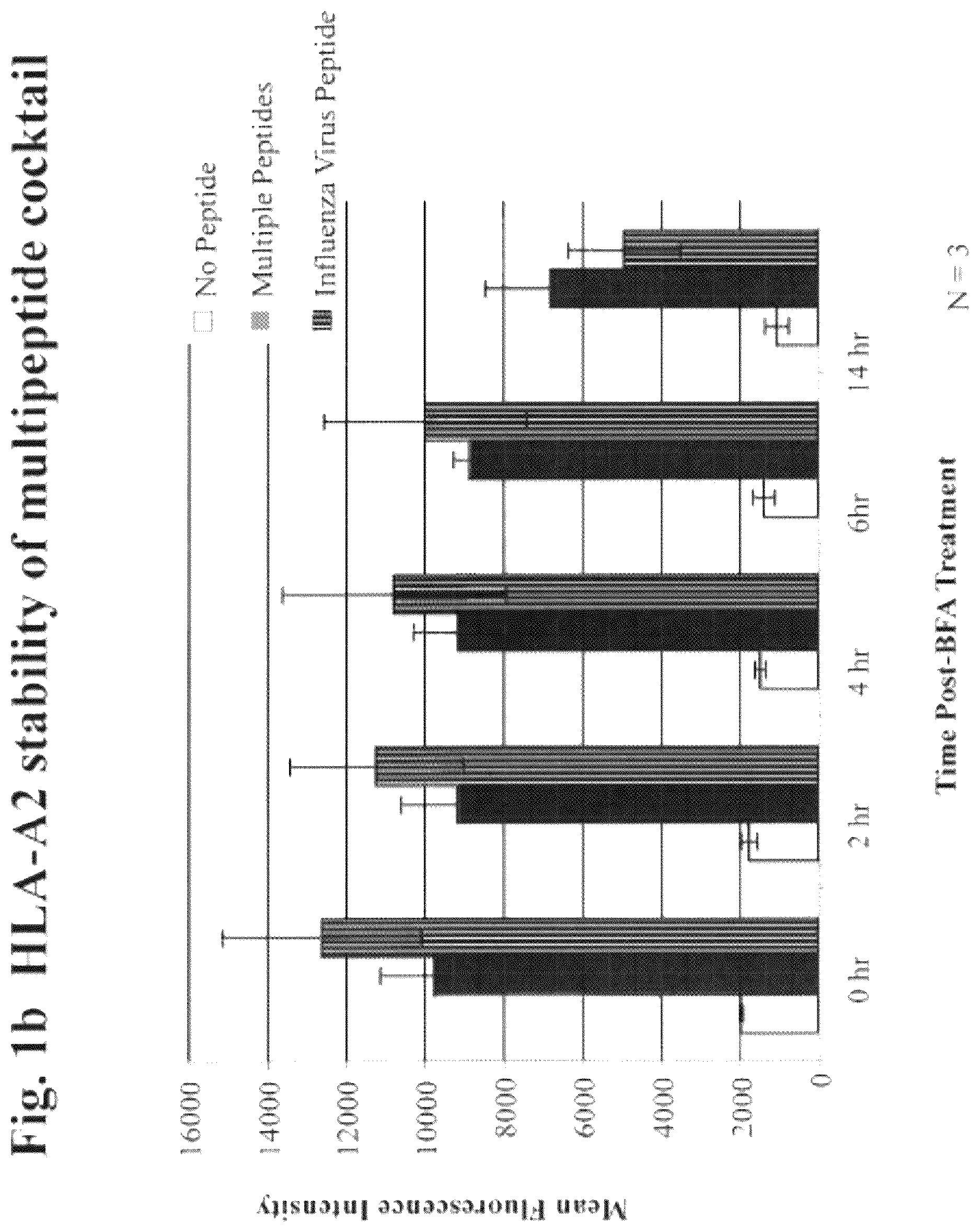 Patent US12616733 Figure 2 – XBP1, CD138, and CS1 peptides, pharmaceutical compositions that include the peptides, and methods of using such peptides and compositions