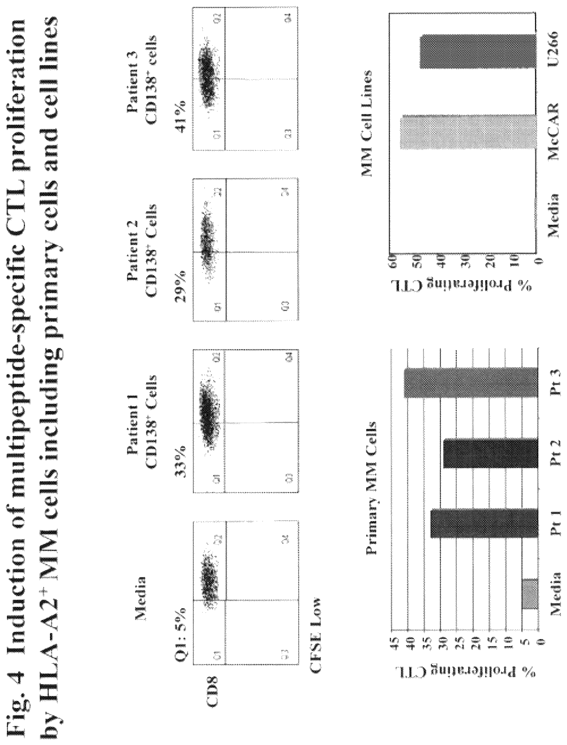 Patent US12616733 Figure 5 – XBP1, CD138, and CS1 peptides, pharmaceutical compositions that include the peptides, and methods of using such peptides and compositions