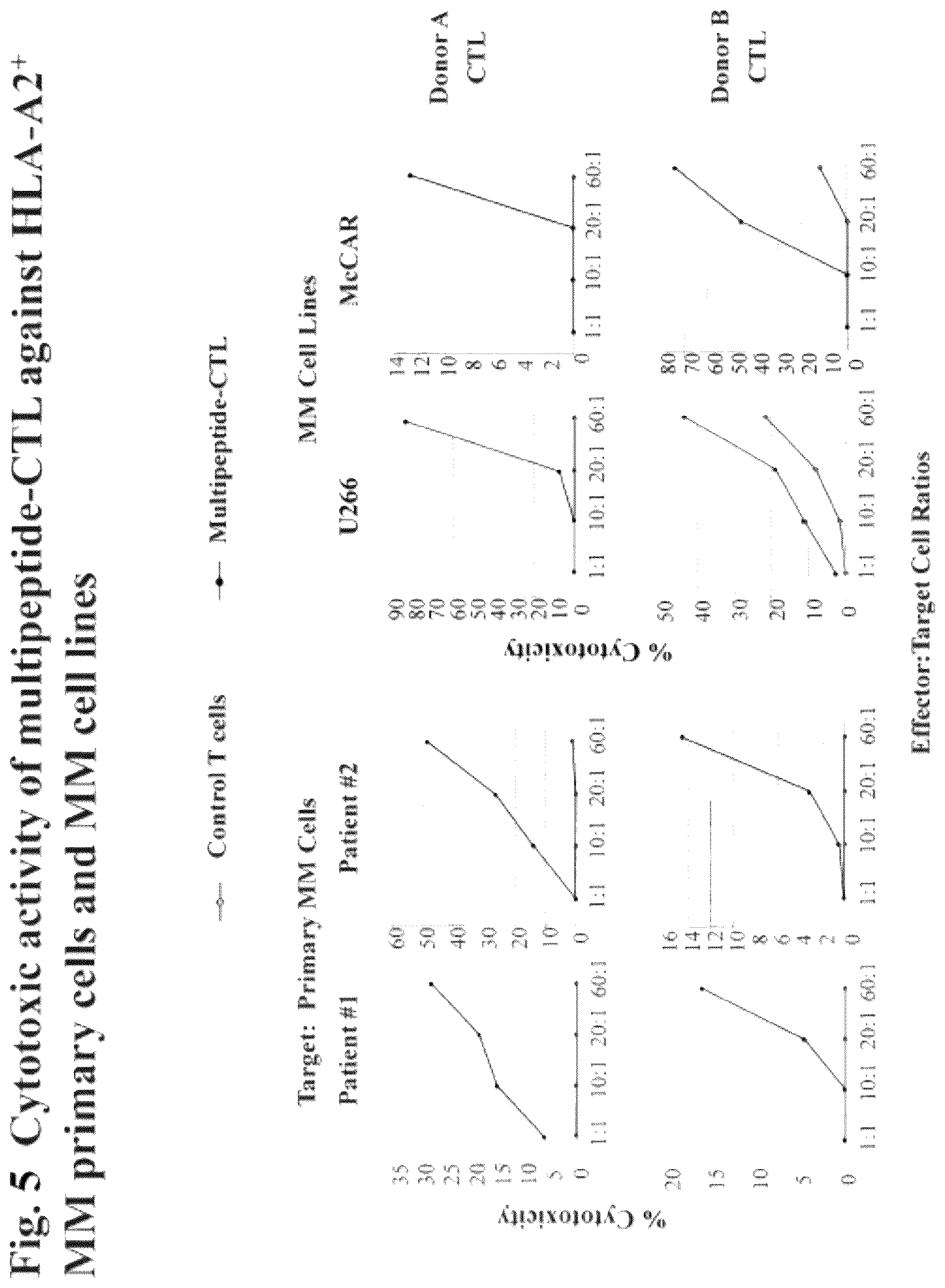 Patent US12616733 Figure 6 – XBP1, CD138, and CS1 peptides, pharmaceutical compositions that include the peptides, and methods of using such peptides and compositions
