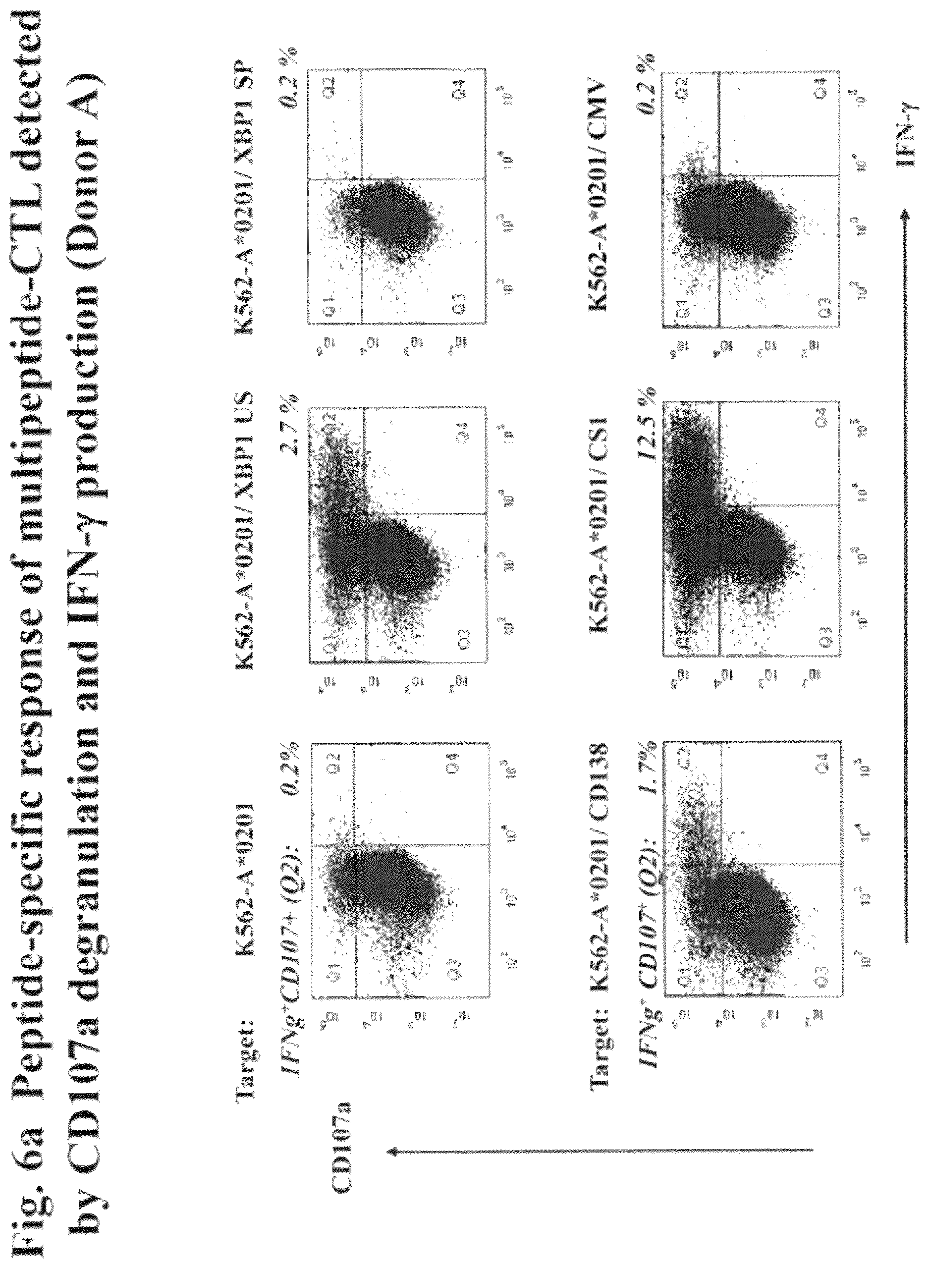 Patent US12616733 Figure 7 – XBP1, CD138, and CS1 peptides, pharmaceutical compositions that include the peptides, and methods of using such peptides and compositions