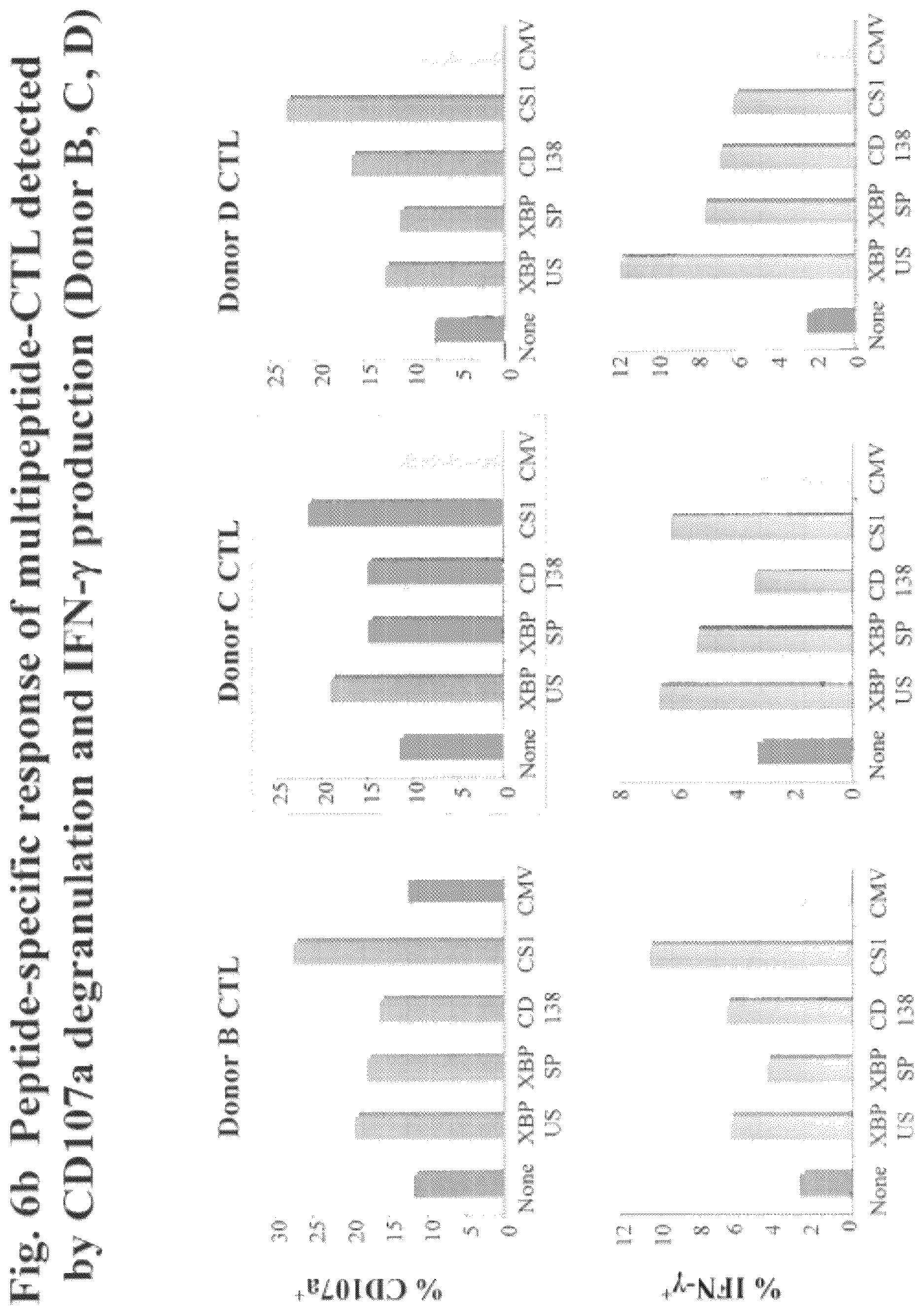 Patent US12616733 Figure 8 – XBP1, CD138, and CS1 peptides, pharmaceutical compositions that include the peptides, and methods of using such peptides and compositions