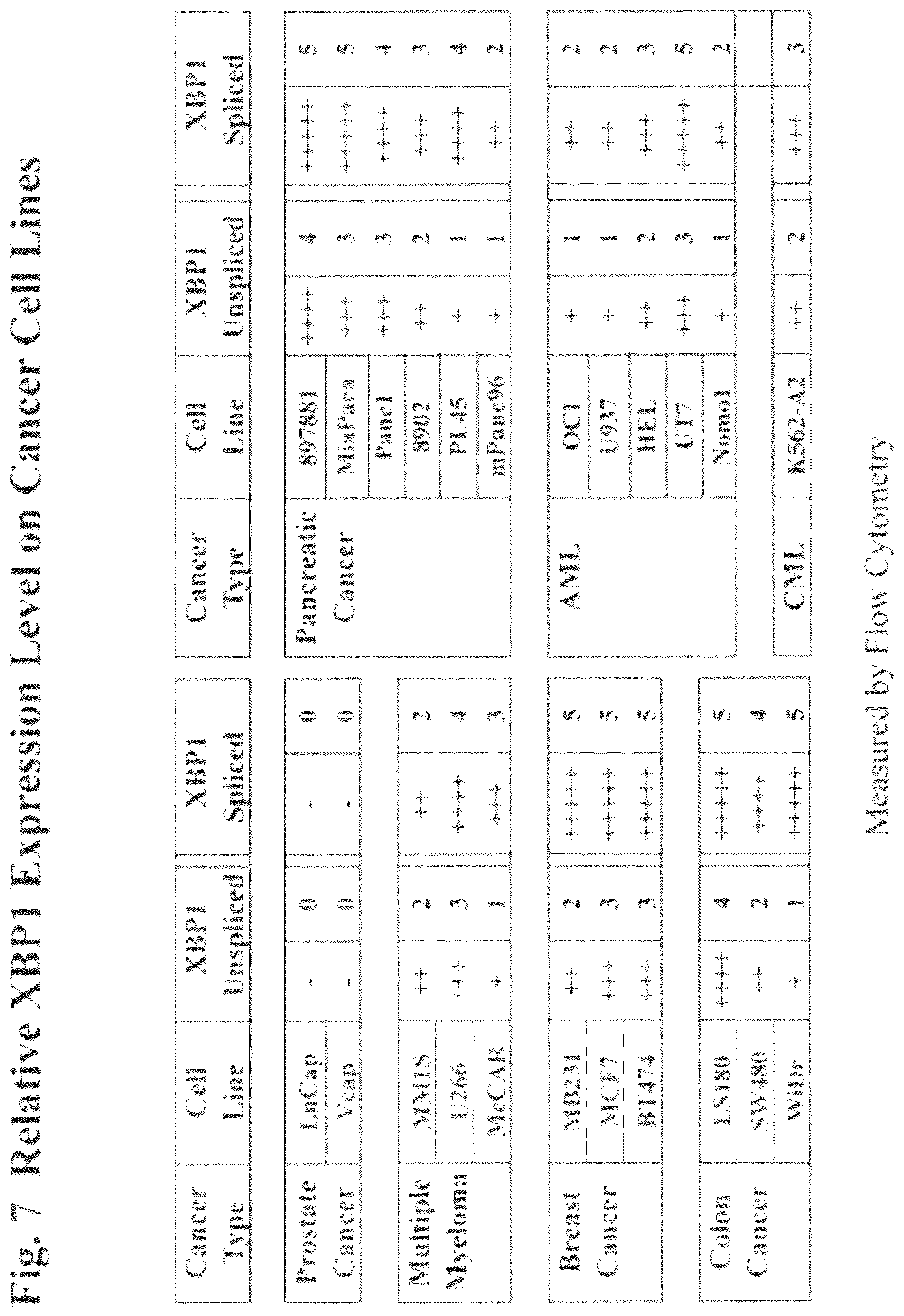 Patent US12616733 Figure 9 – XBP1, CD138, and CS1 peptides, pharmaceutical compositions that include the peptides, and methods of using such peptides and compositions