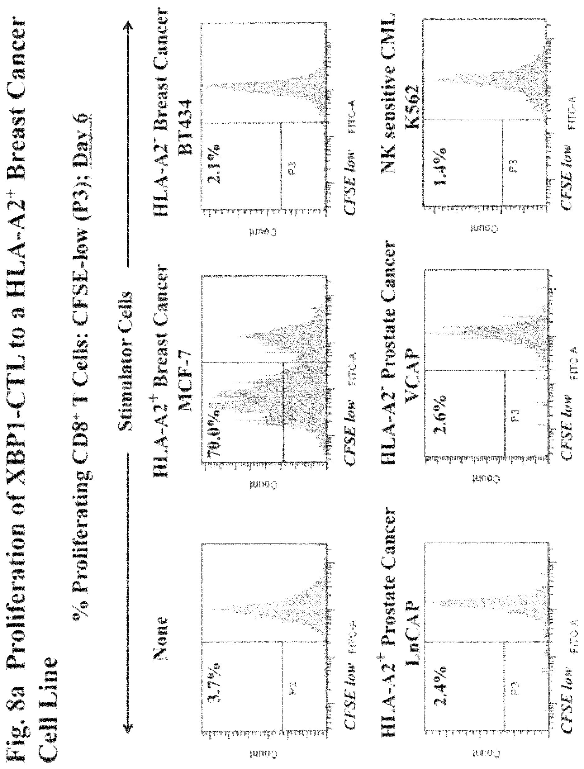 Patent US12616733 Figure 10 – XBP1, CD138, and CS1 peptides, pharmaceutical compositions that include the peptides, and methods of using such peptides and compositions