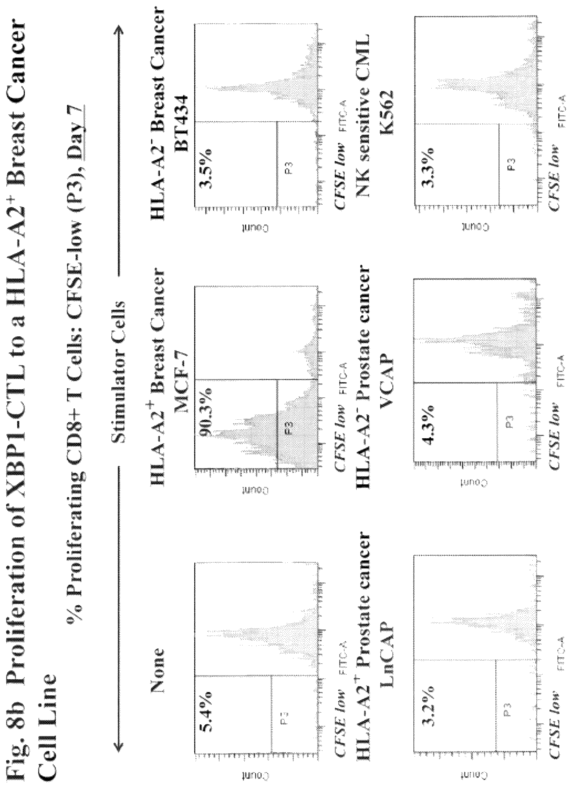 Patent US12616733 Figure 11 – XBP1, CD138, and CS1 peptides, pharmaceutical compositions that include the peptides, and methods of using such peptides and compositions