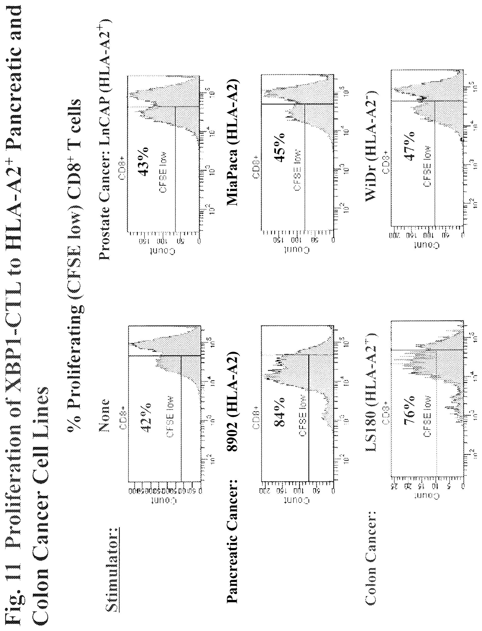 Patent US12616733 Figure 14 – XBP1, CD138, and CS1 peptides, pharmaceutical compositions that include the peptides, and methods of using such peptides and compositions