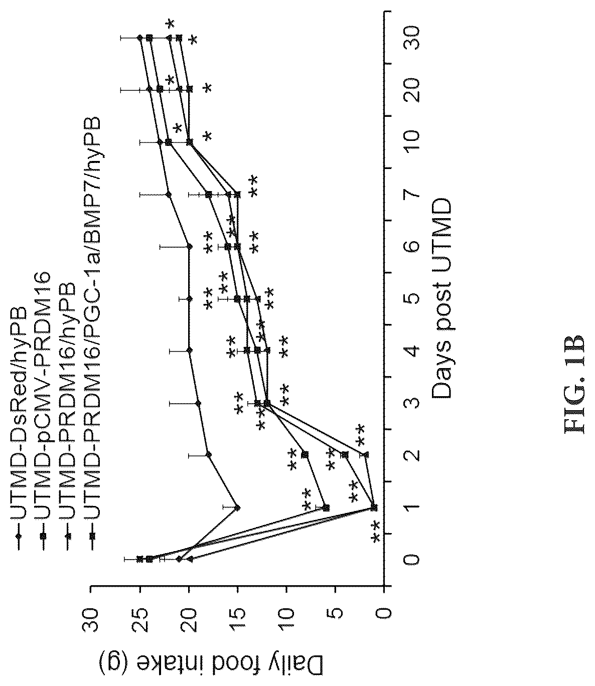 Patent US12616735 Figure 2 – Compositions and methods of controlling expression of thermogenin (UCP-1) in skeletal muscles