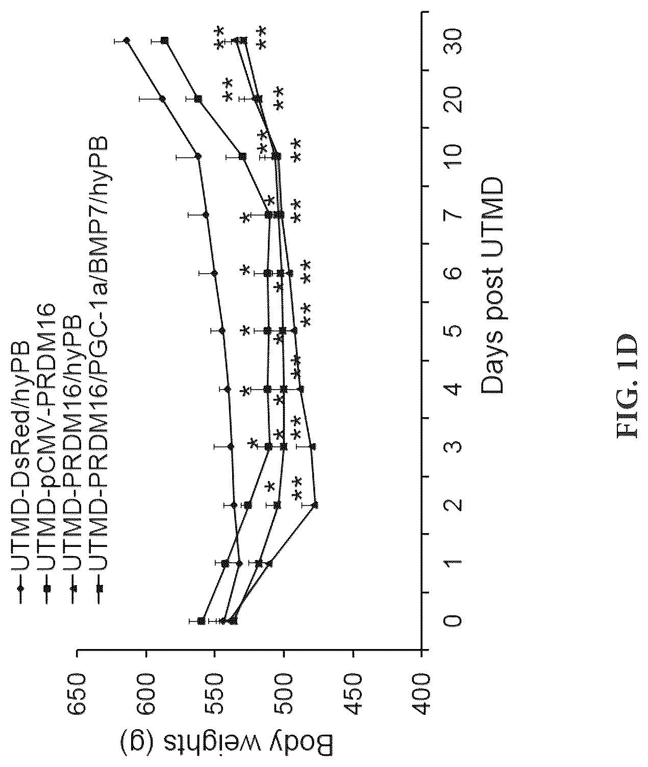Patent US12616735 Figure 4 – Compositions and methods of controlling expression of thermogenin (UCP-1) in skeletal muscles