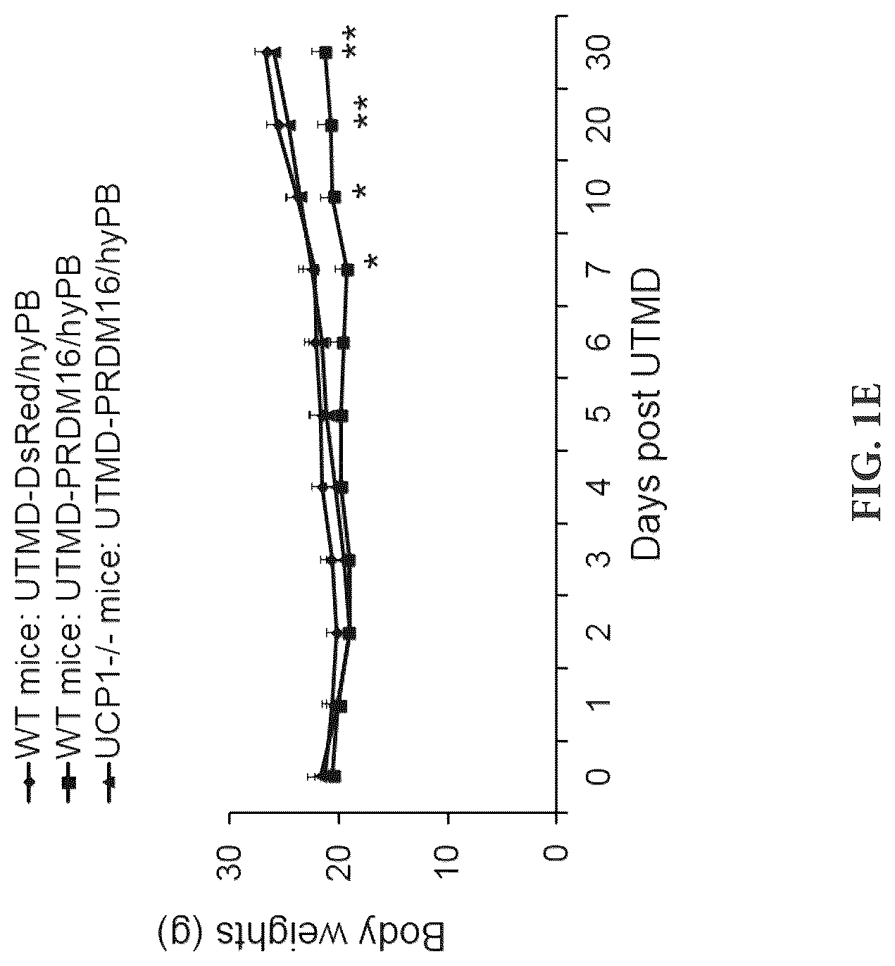 Patent US12616735 Figure 5 – Compositions and methods of controlling expression of thermogenin (UCP-1) in skeletal muscles