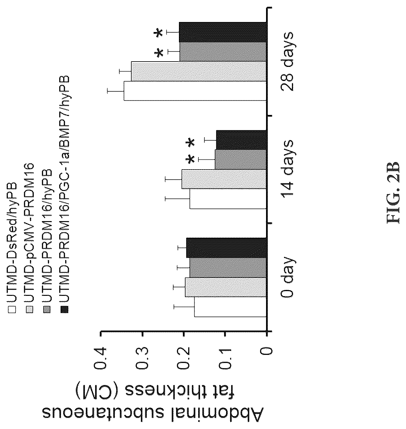 Patent US12616735 Figure 7 – Compositions and methods of controlling expression of thermogenin (UCP-1) in skeletal muscles