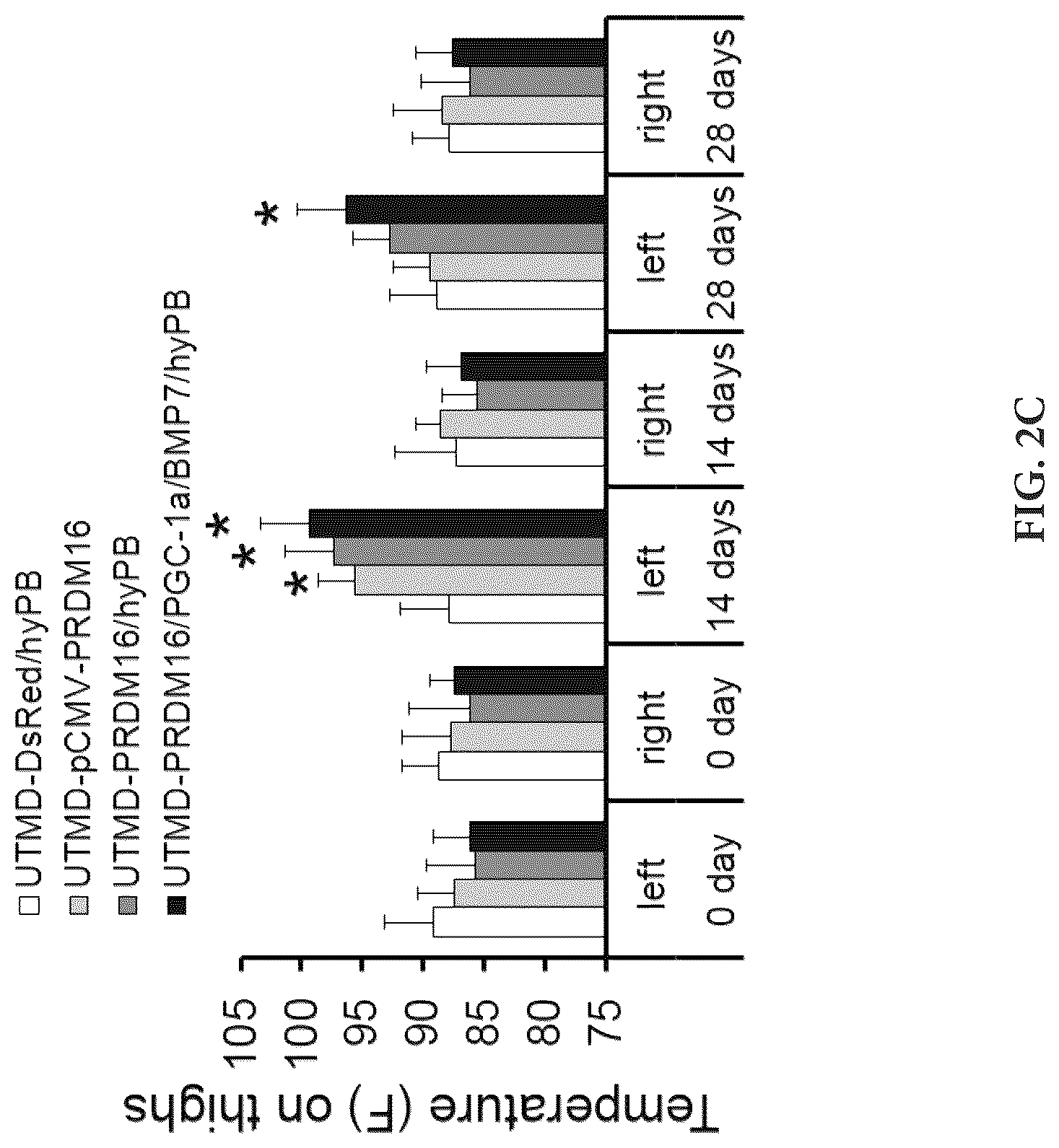 Patent US12616735 Figure 8 – Compositions and methods of controlling expression of thermogenin (UCP-1) in skeletal muscles