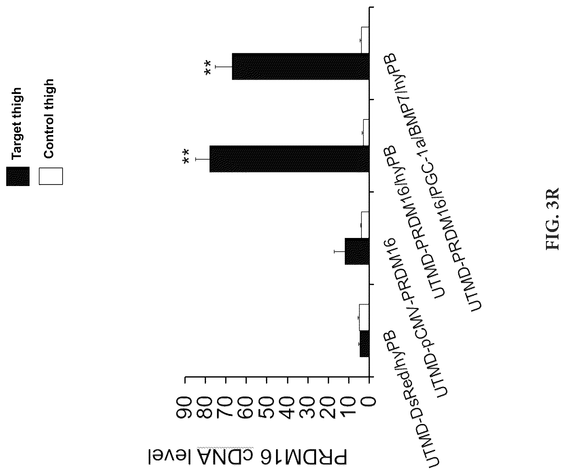 Patent US12616735 Figure 15 – Compositions and methods of controlling expression of thermogenin (UCP-1) in skeletal muscles