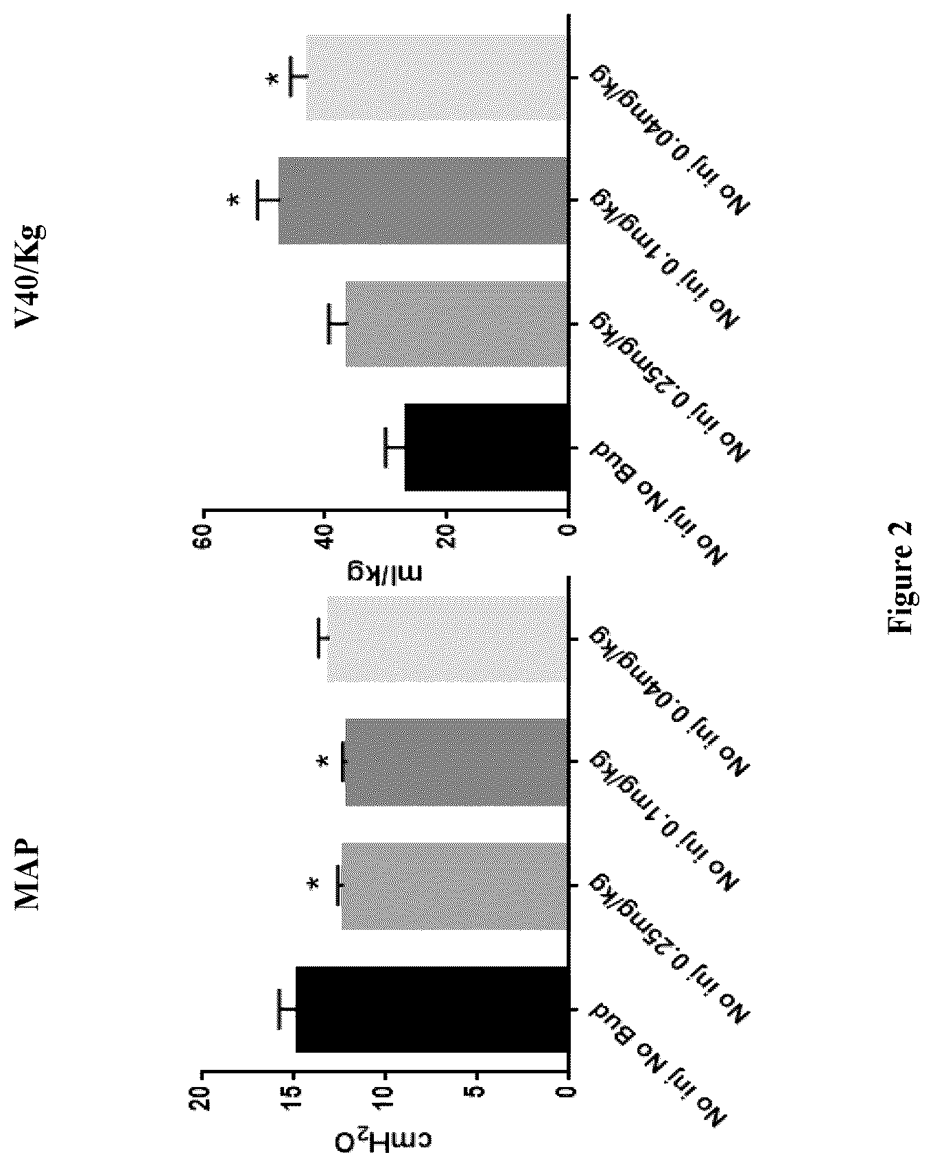 Patent US12616741 Figure 2 – Therapeutic combination comprising a pulmonary surfactant and a steroid for the prophylaxis of BPD