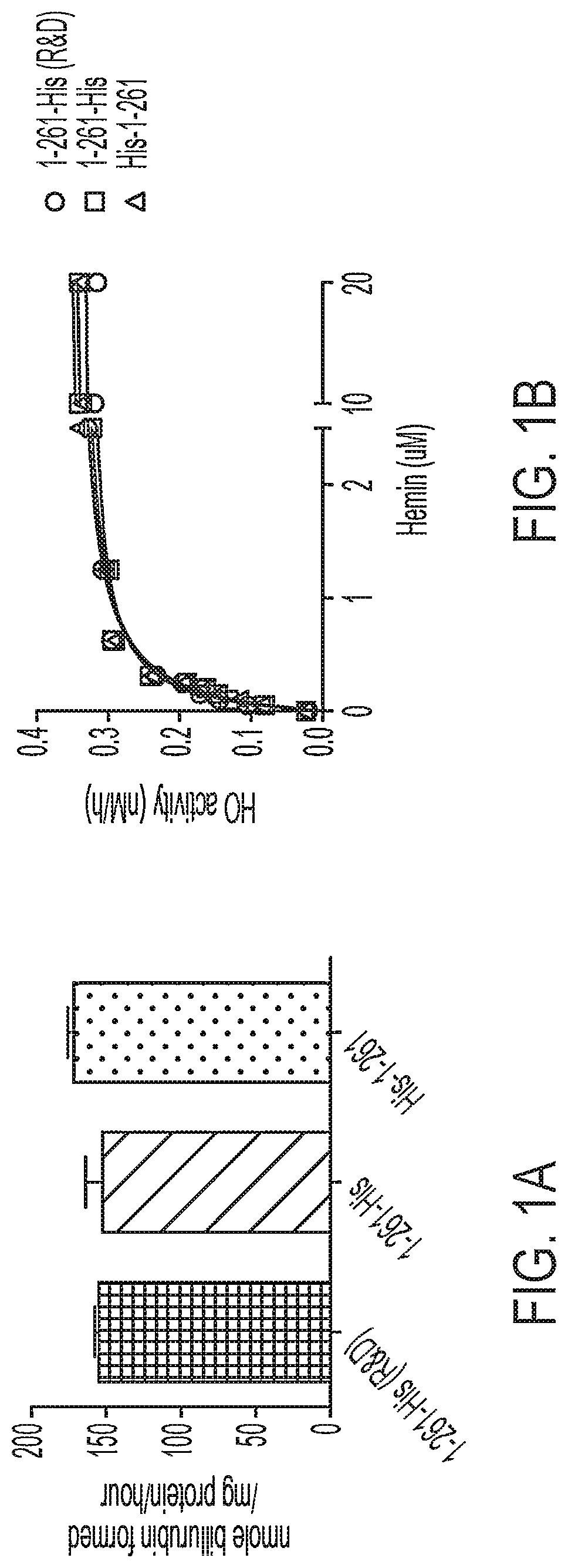 Patent US12616742 Figure 1 – Recombinant heme oxygenase-1 (HO-1) for the treatment of sickle cell disease