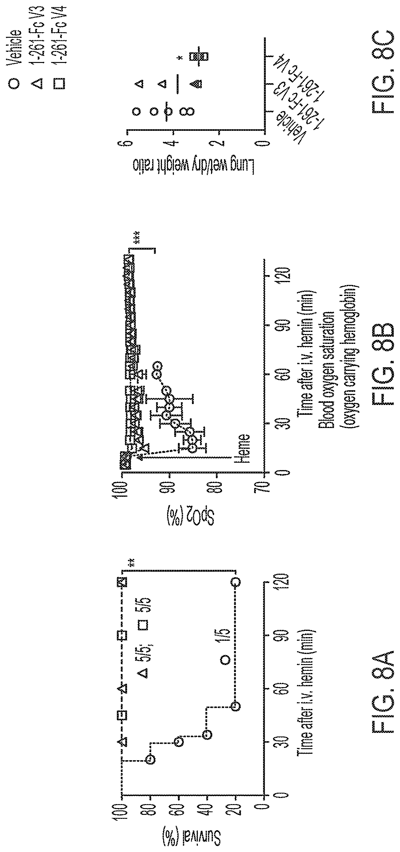 Patent US12616742 Figure 13 – Recombinant heme oxygenase-1 (HO-1) for the treatment of sickle cell disease