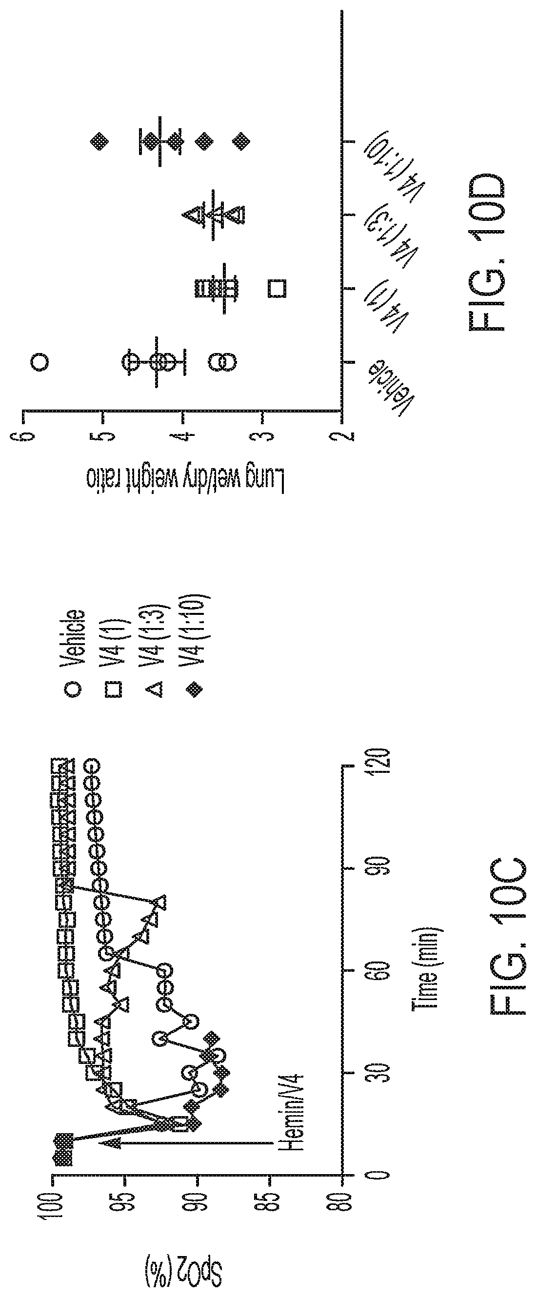 Patent US12616742 Figure 16 – Recombinant heme oxygenase-1 (HO-1) for the treatment of sickle cell disease