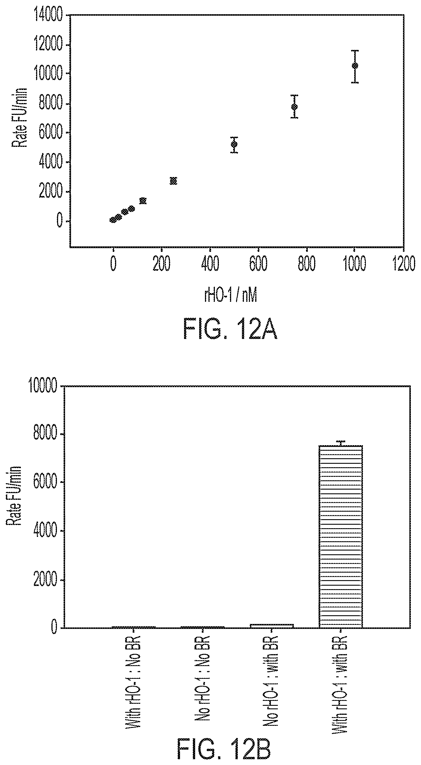 Patent US12616742 Figure 18 – Recombinant heme oxygenase-1 (HO-1) for the treatment of sickle cell disease