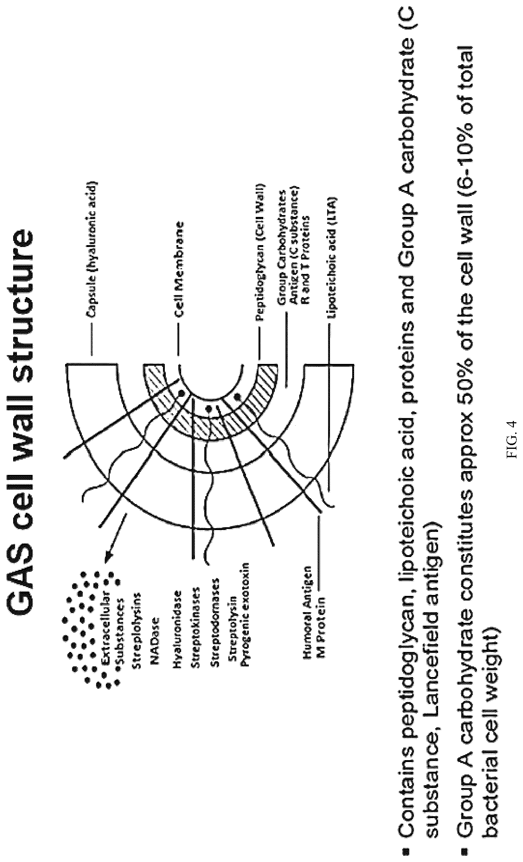 Patent US12616743 Figure 6 – Streptococcal GlcNAc-lacking glycopolypeptides, cell wall carbohydrates, streptococcus vaccines, and methods for making and using them