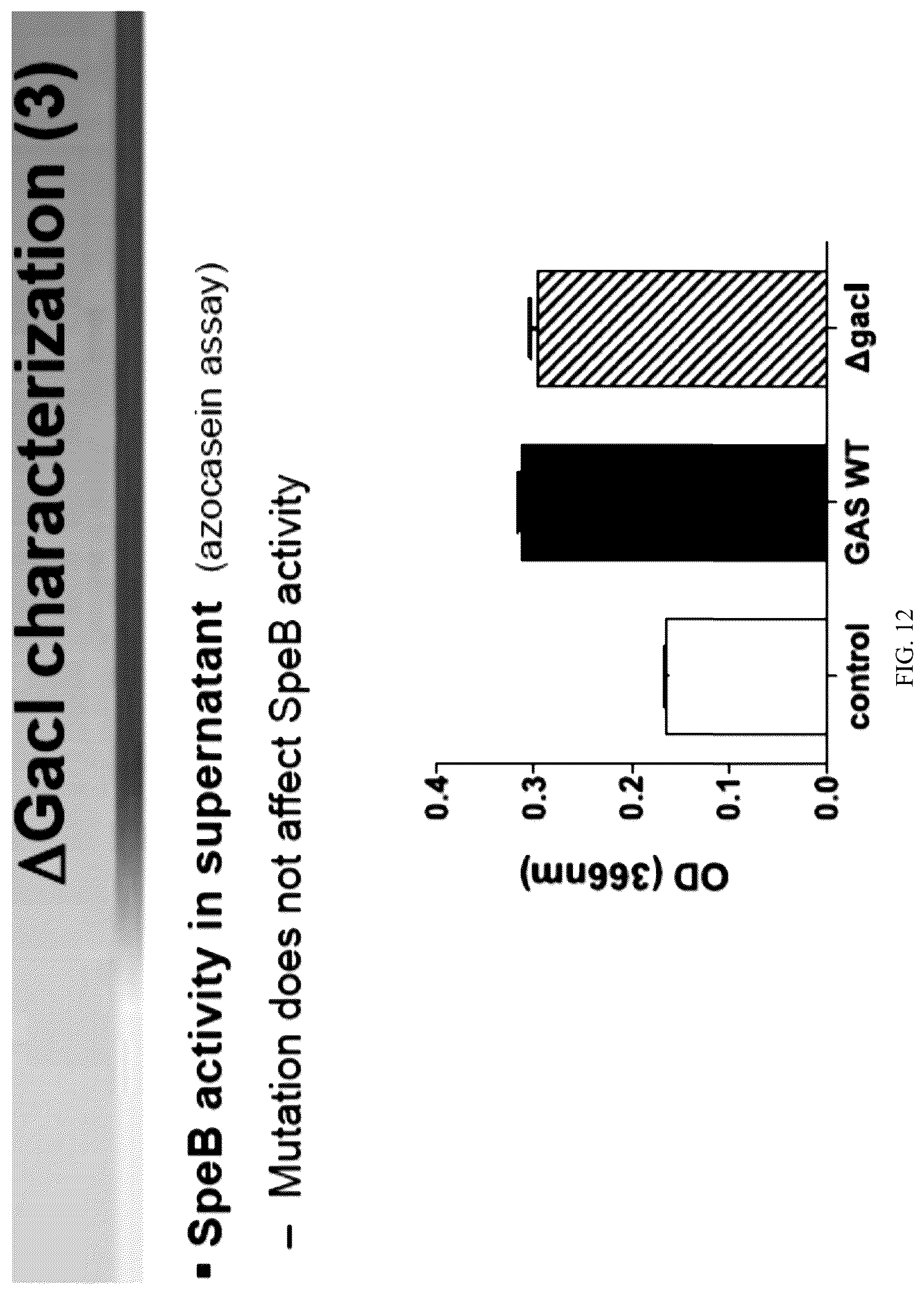 Patent US12616743 Figure 14 – Streptococcal GlcNAc-lacking glycopolypeptides, cell wall carbohydrates, streptococcus vaccines, and methods for making and using them