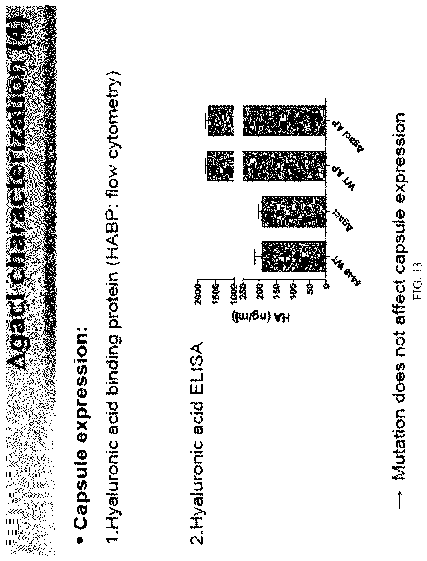 Patent US12616743 Figure 15 – Streptococcal GlcNAc-lacking glycopolypeptides, cell wall carbohydrates, streptococcus vaccines, and methods for making and using them