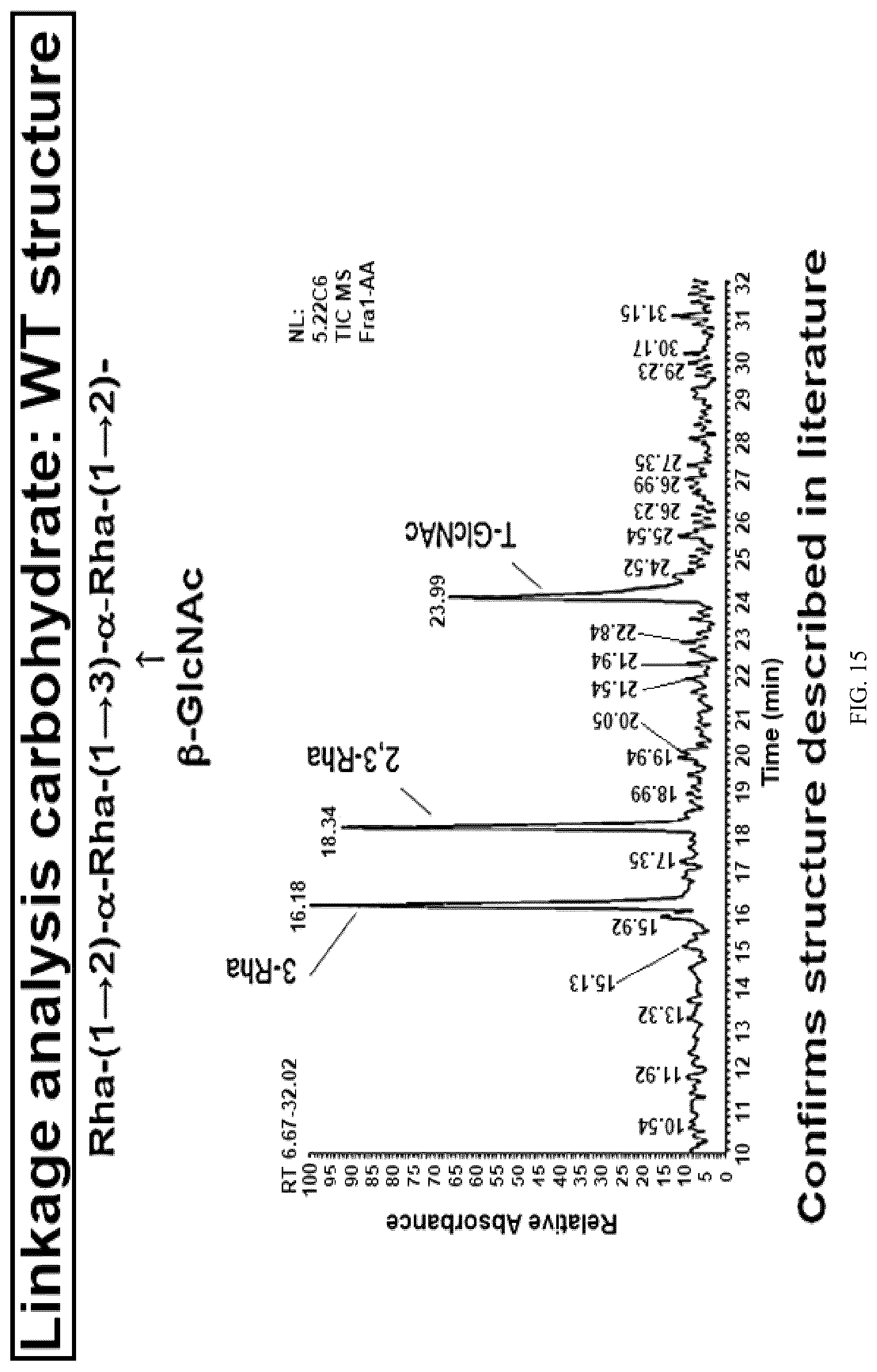 Patent US12616743 Figure 17 – Streptococcal GlcNAc-lacking glycopolypeptides, cell wall carbohydrates, streptococcus vaccines, and methods for making and using them