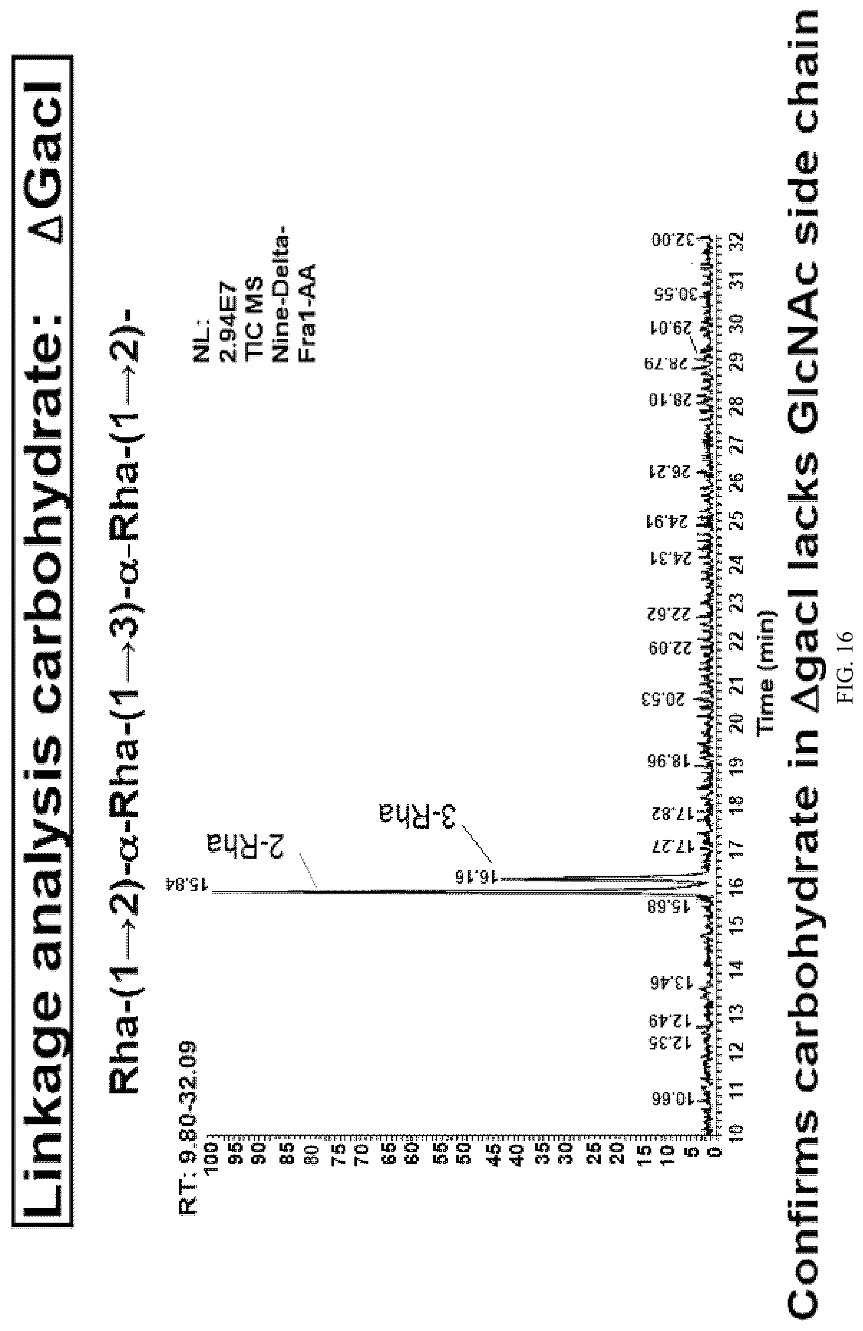 Patent US12616743 Figure 18 – Streptococcal GlcNAc-lacking glycopolypeptides, cell wall carbohydrates, streptococcus vaccines, and methods for making and using them