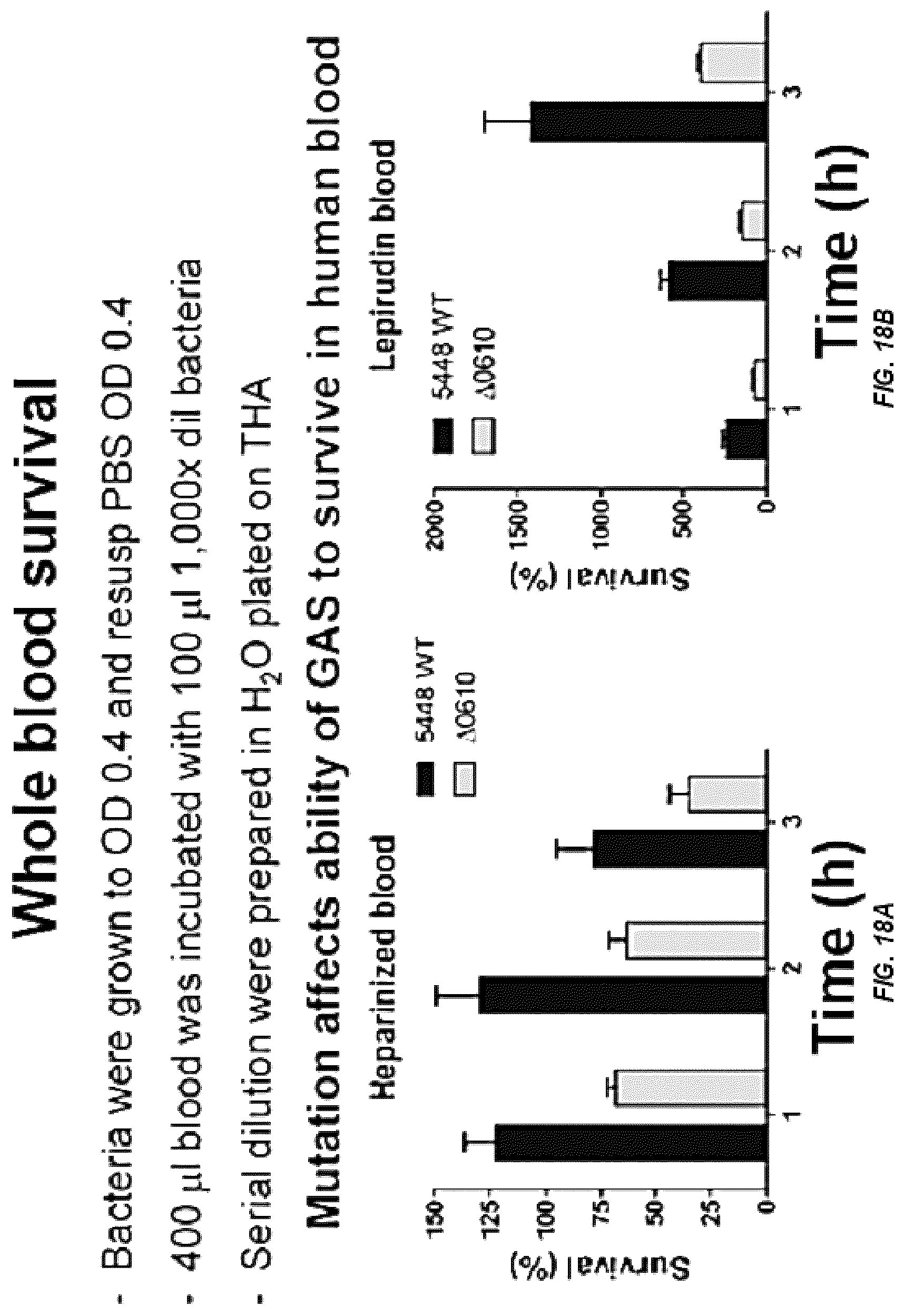 Patent US12616743 Figure 20 – Streptococcal GlcNAc-lacking glycopolypeptides, cell wall carbohydrates, streptococcus vaccines, and methods for making and using them