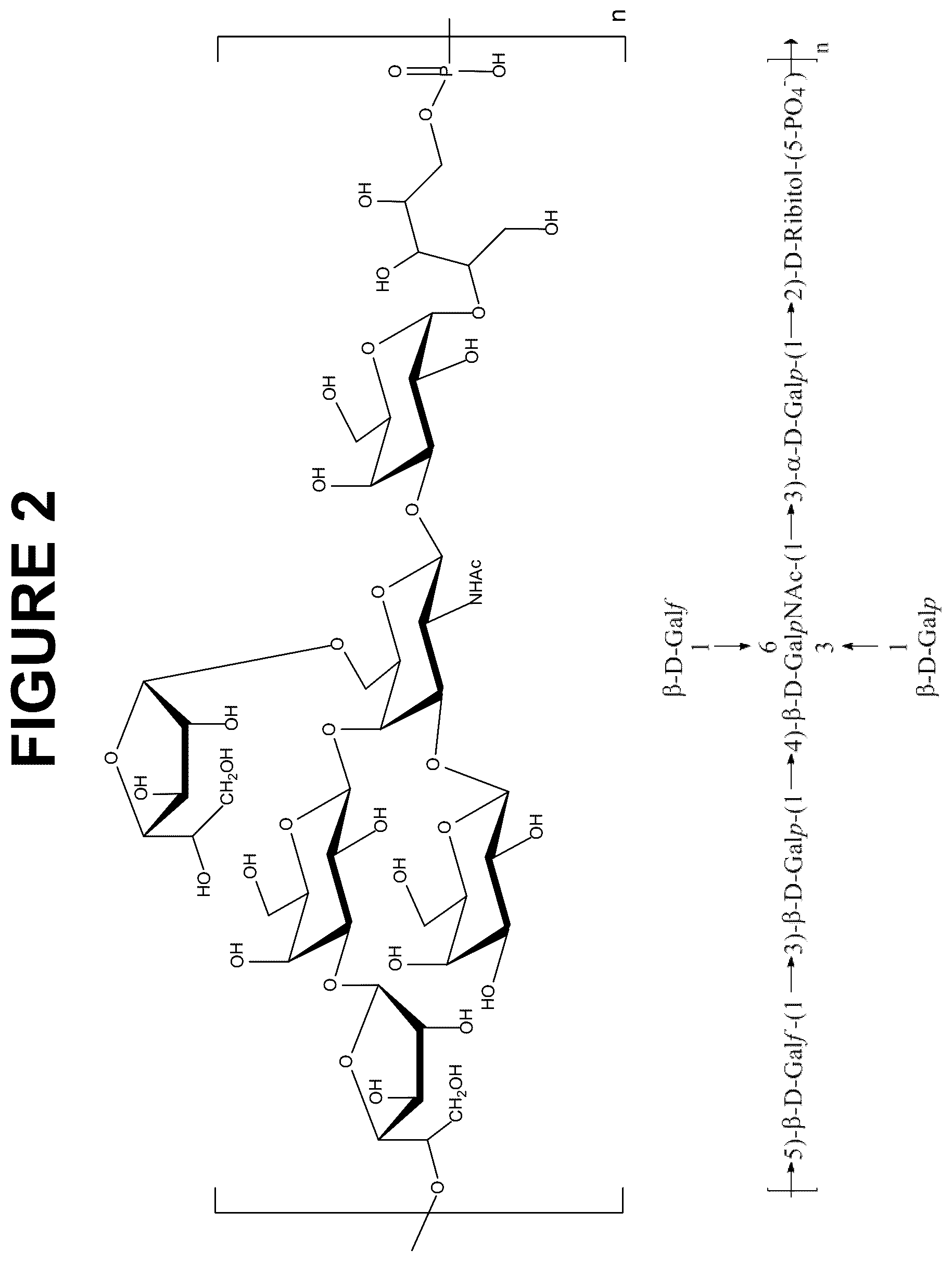 Patent US12616744 Figure 2 – Immunogenic compositions comprising conjugated capsular saccharide antigens and uses thereof
