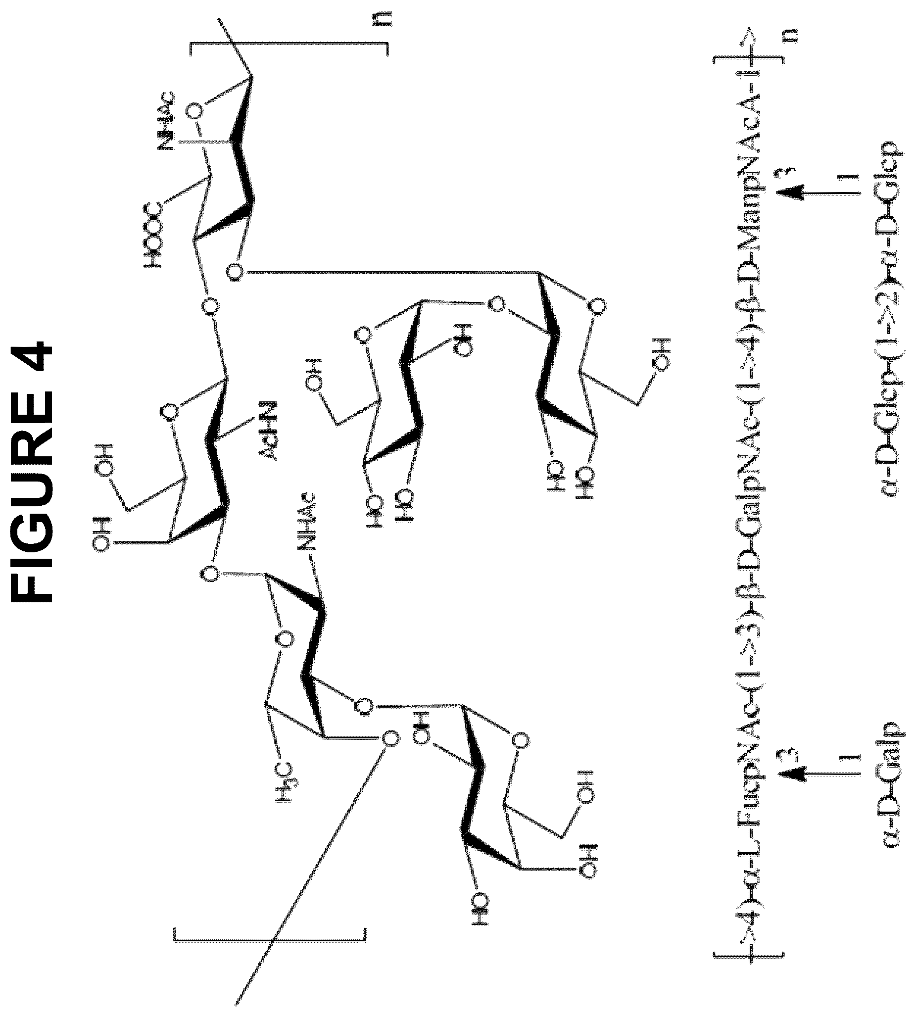 Patent US12616744 Figure 4 – Immunogenic compositions comprising conjugated capsular saccharide antigens and uses thereof