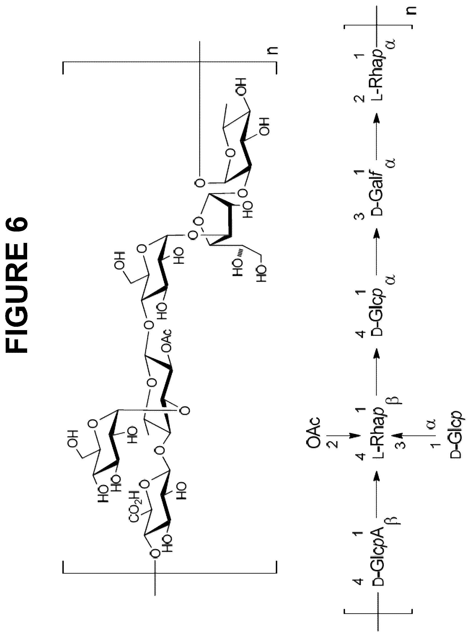 Patent US12616744 Figure 6 – Immunogenic compositions comprising conjugated capsular saccharide antigens and uses thereof
