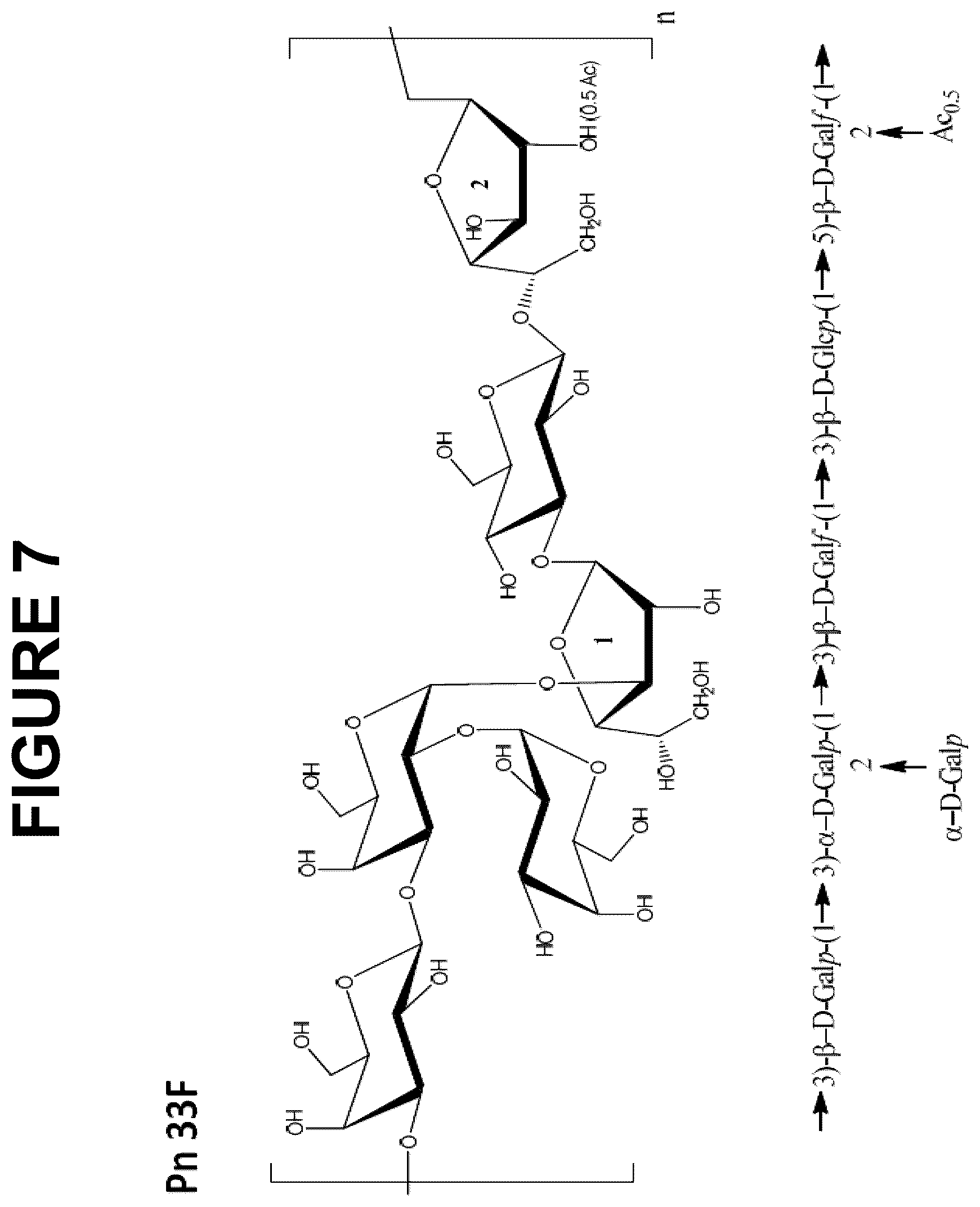 Patent US12616744 Figure 7 – Immunogenic compositions comprising conjugated capsular saccharide antigens and uses thereof