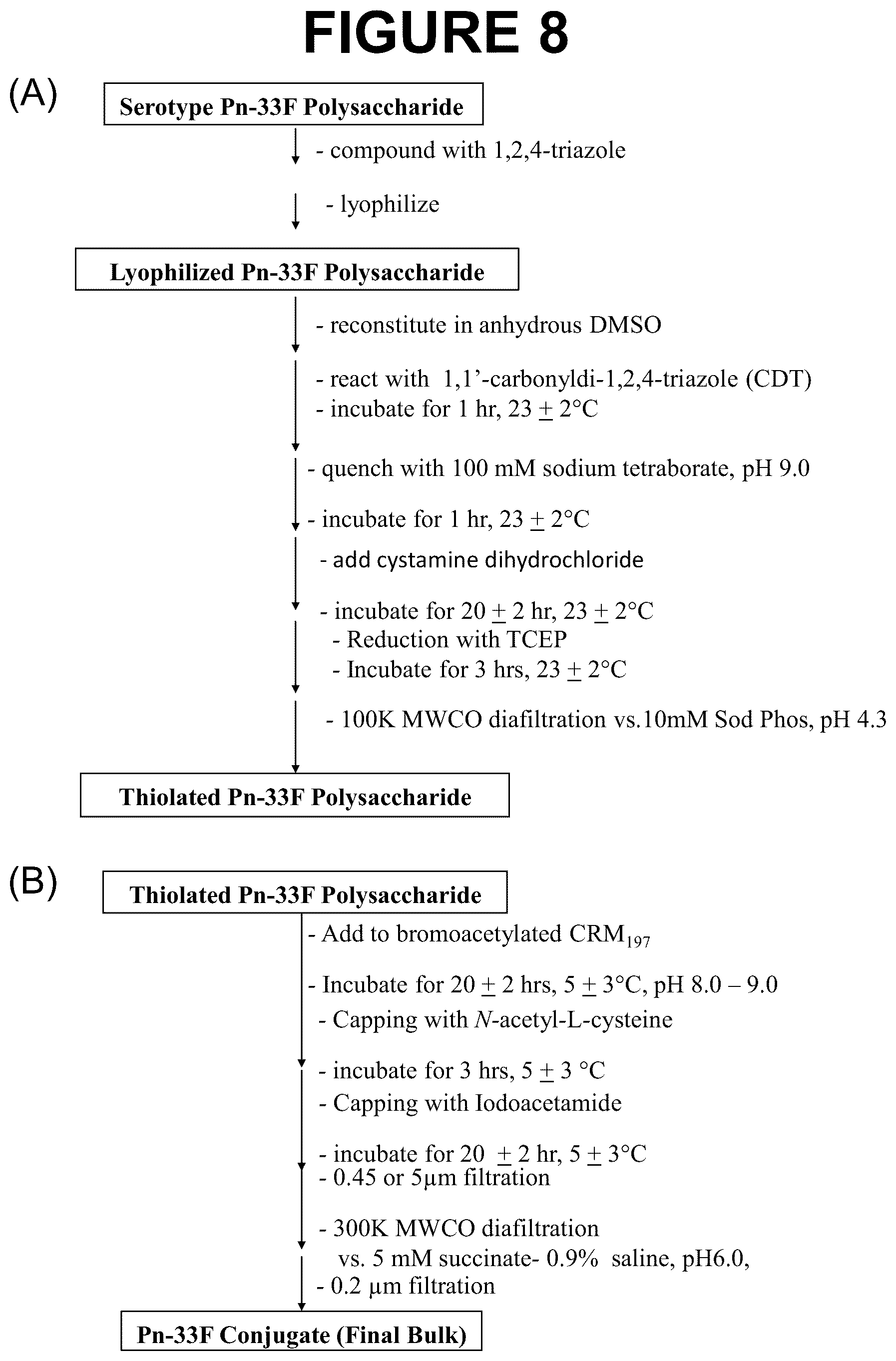 Patent US12616744 Figure 8 – Immunogenic compositions comprising conjugated capsular saccharide antigens and uses thereof