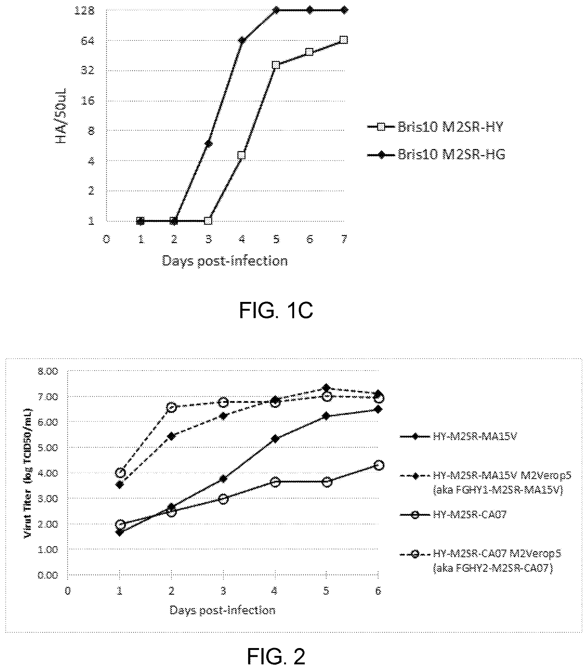 Patent US12616745 Figure 2 – Influenza virus backbone