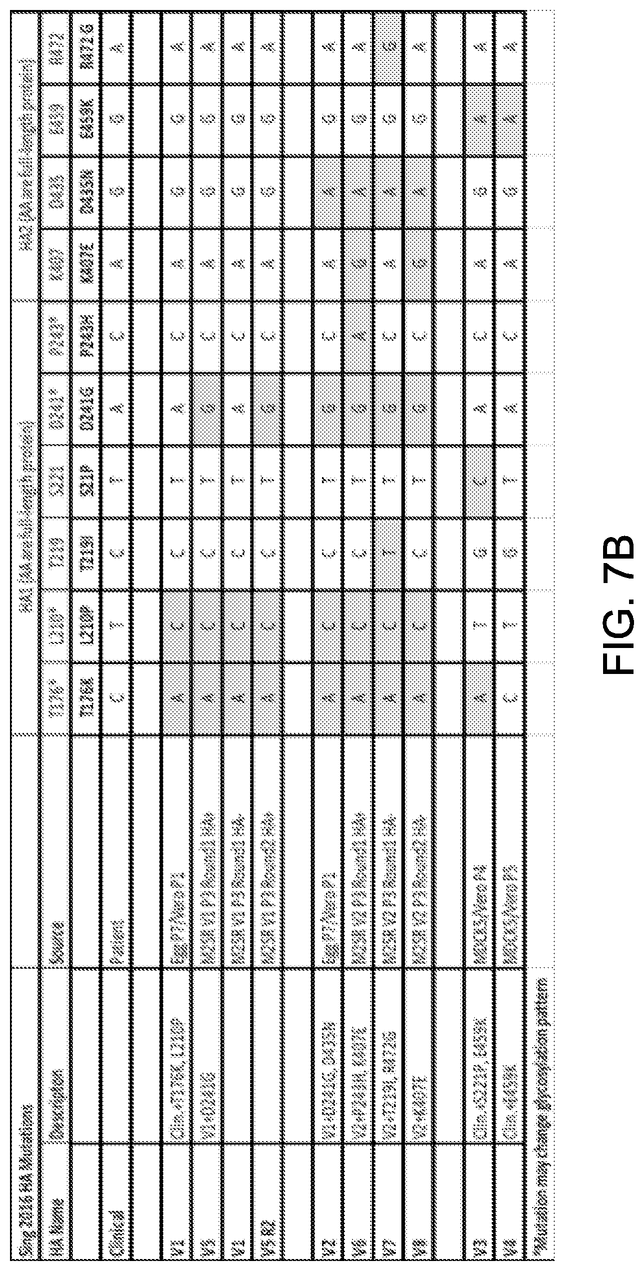 Patent US12616745 Figure 9 – Influenza virus backbone