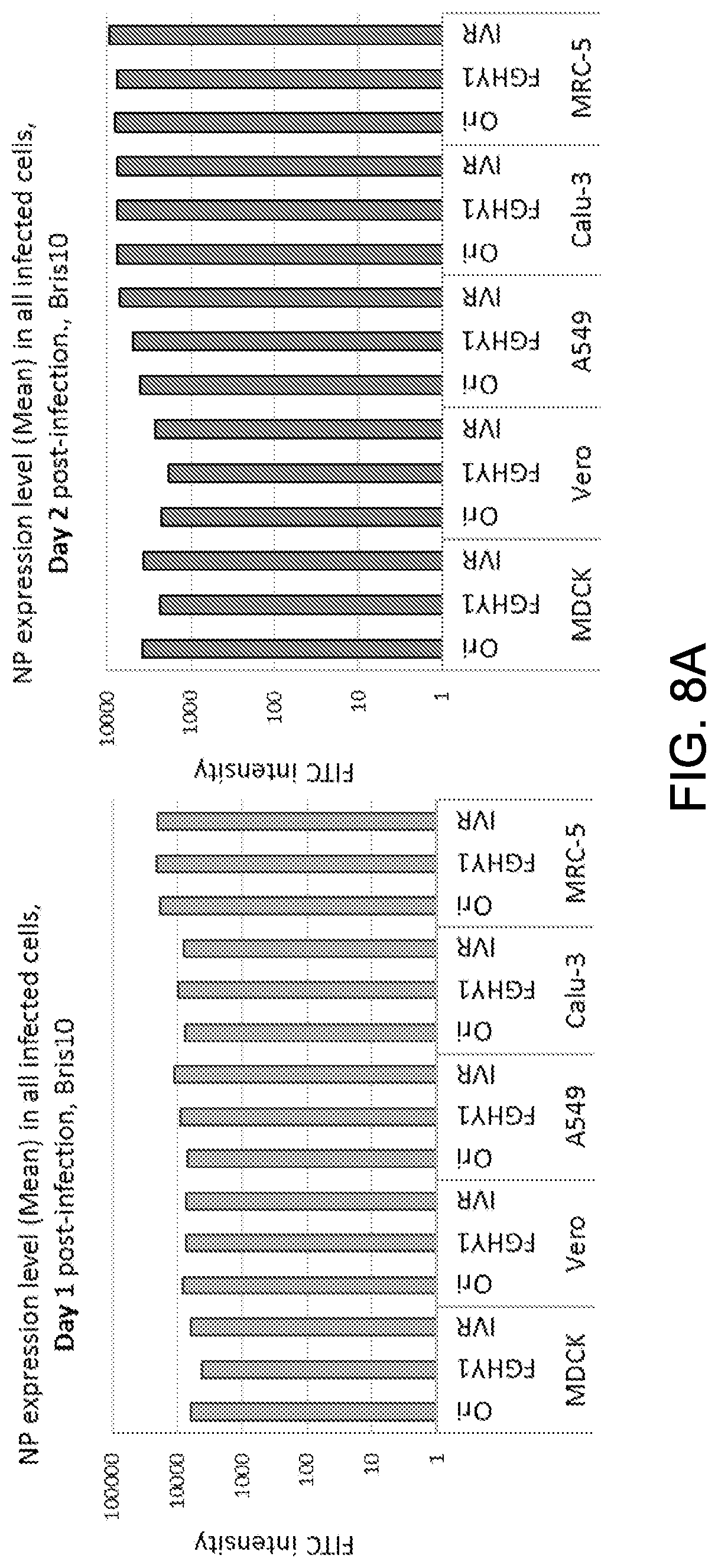 Patent US12616745 Figure 11 – Influenza virus backbone