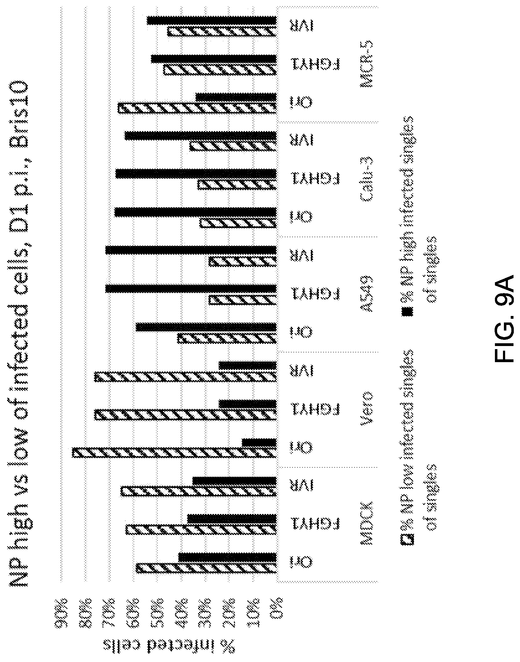 Patent US12616745 Figure 13 – Influenza virus backbone