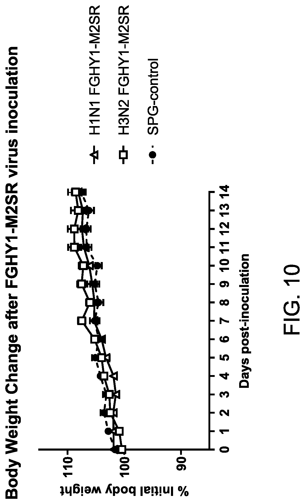 Patent US12616745 Figure 15 – Influenza virus backbone