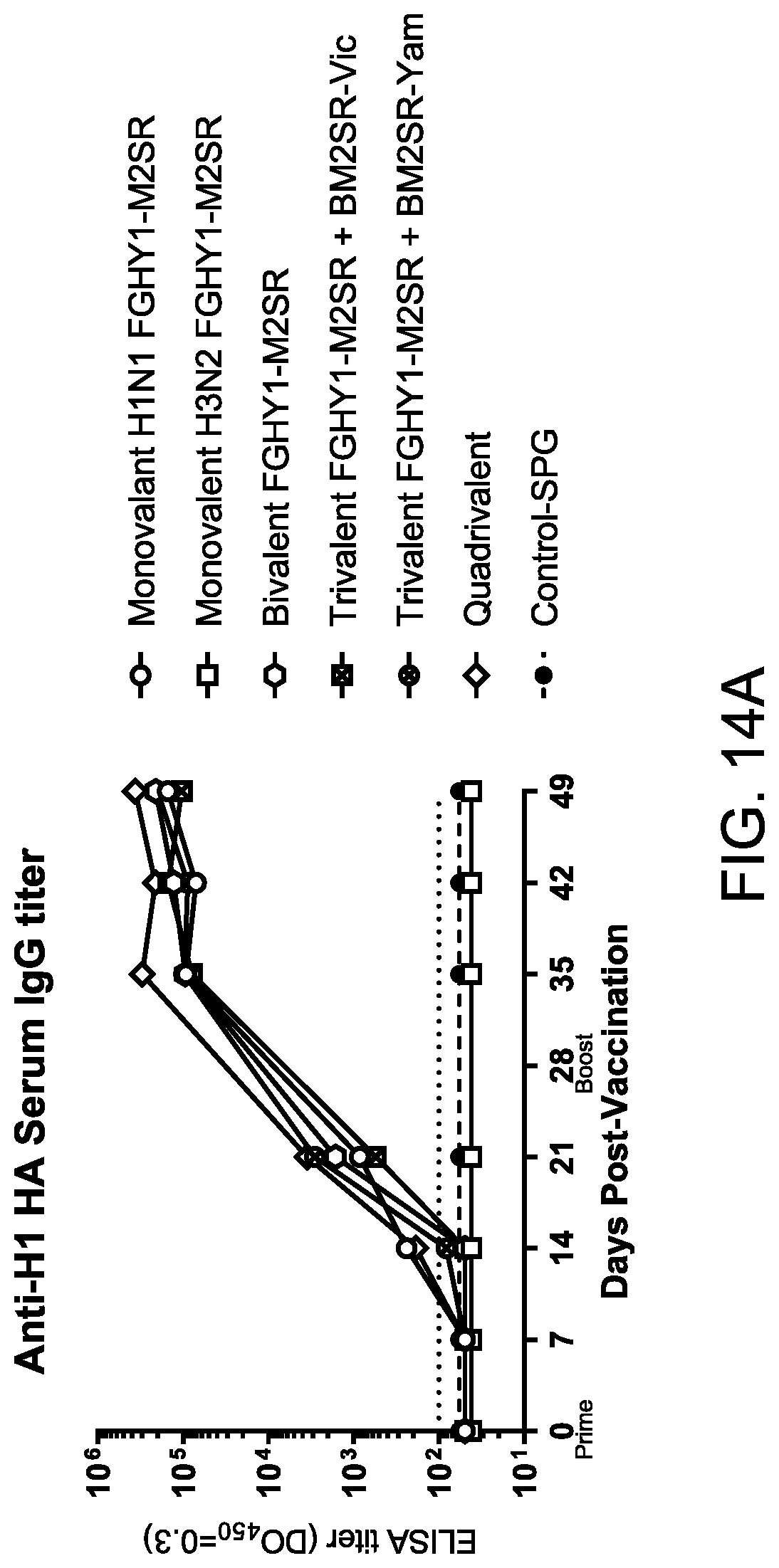 Patent US12616745 Figure 19 – Influenza virus backbone