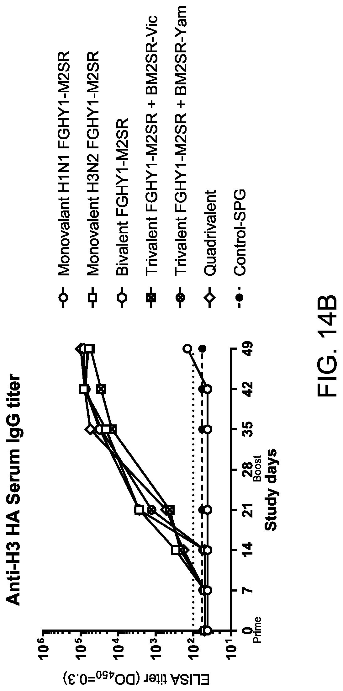 Patent US12616745 Figure 20 – Influenza virus backbone