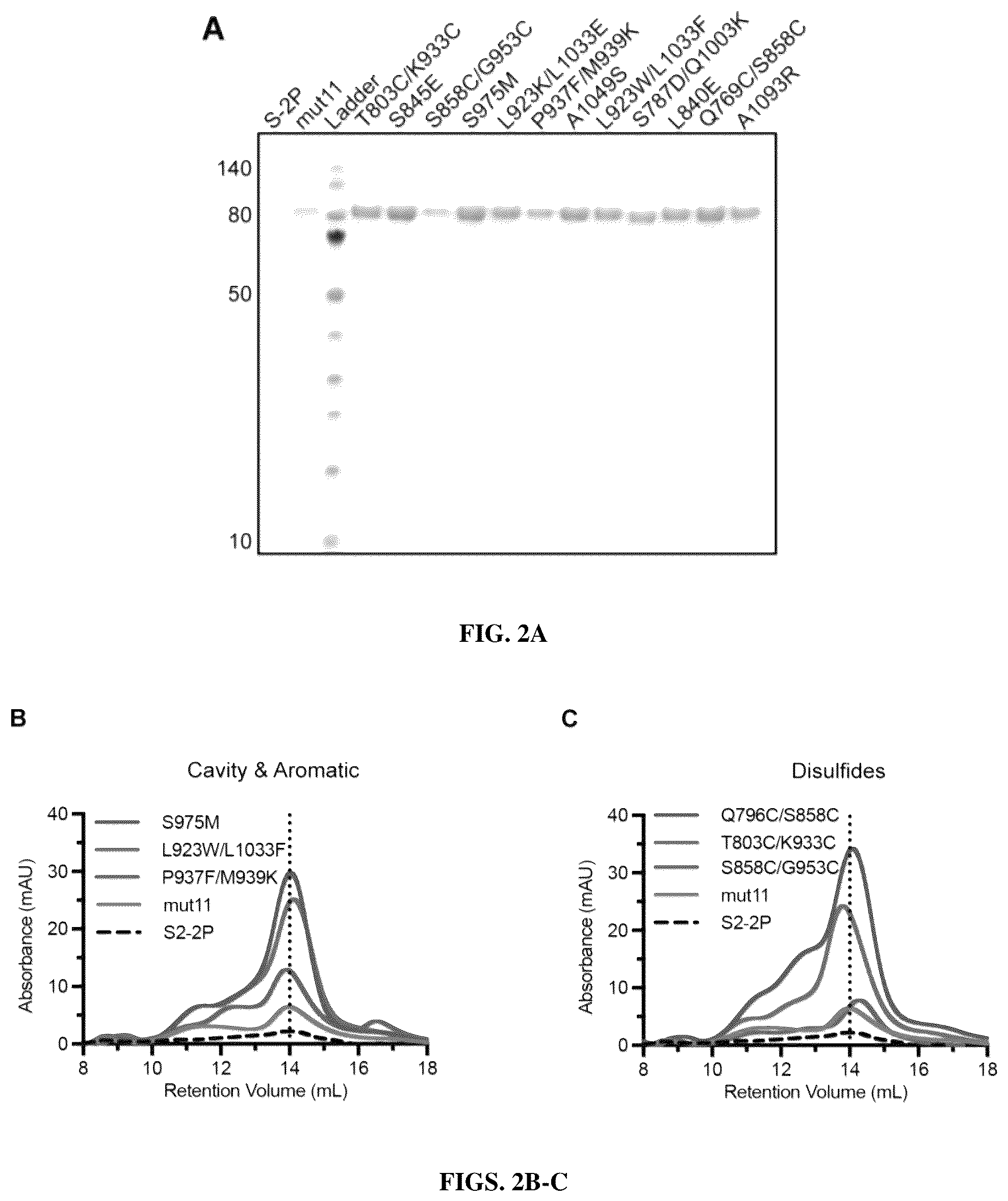 Patent US12616747 Figure 2 – Stabilized beta-coronavirus antigens