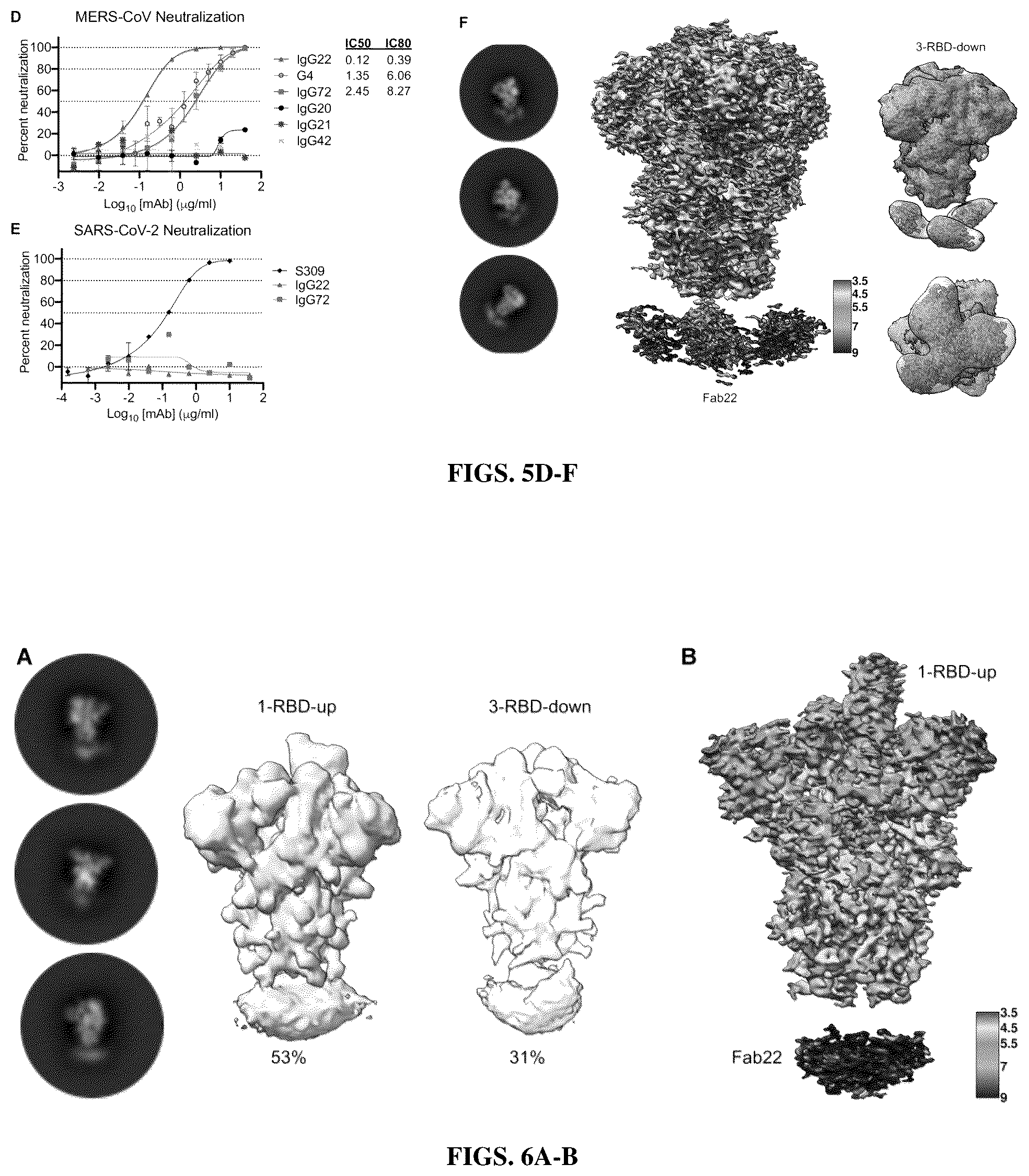 Patent US12616747 Figure 7 – Stabilized beta-coronavirus antigens